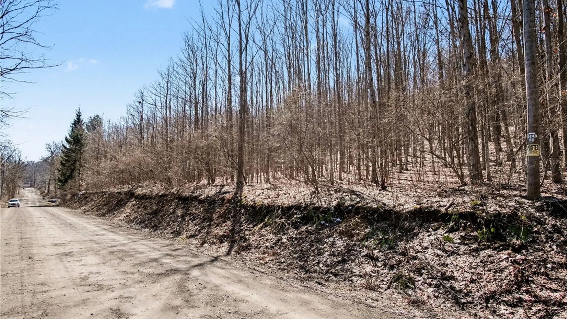 Property at 7420 Feather Street, Springwater, NY 14512 3