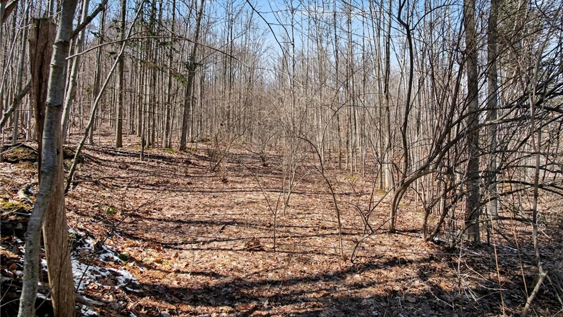 Property at 7420 Feather Street, Springwater, NY 14512 4