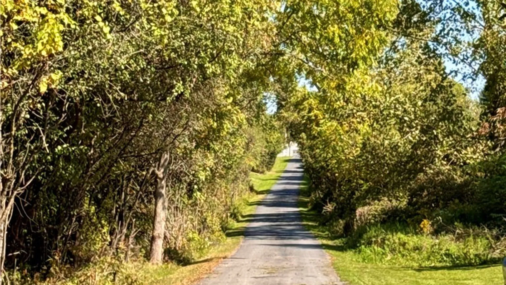 Property at 5535 Silver Street Road, Fleming, NY 13021 8