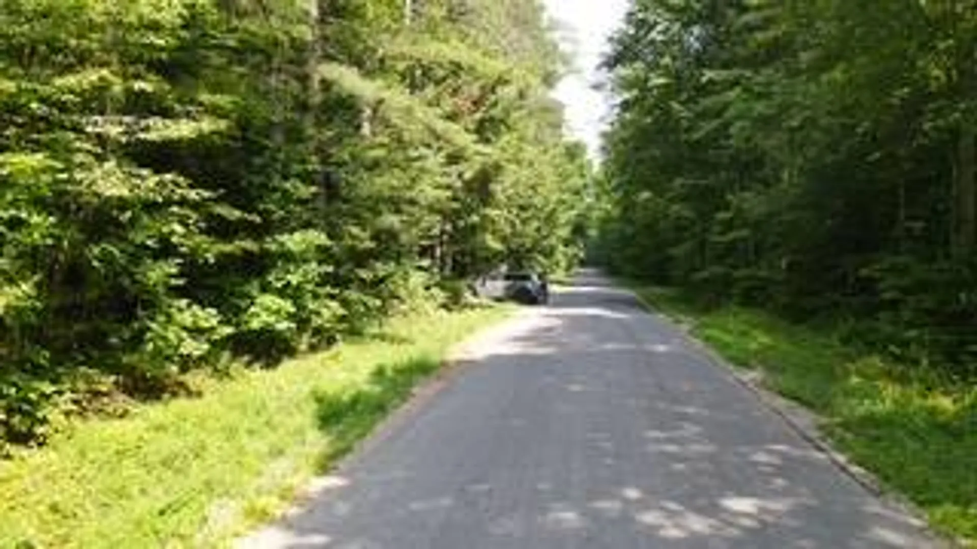Property at 0 Garrison Rd, Pitcairn, NY 13648 11