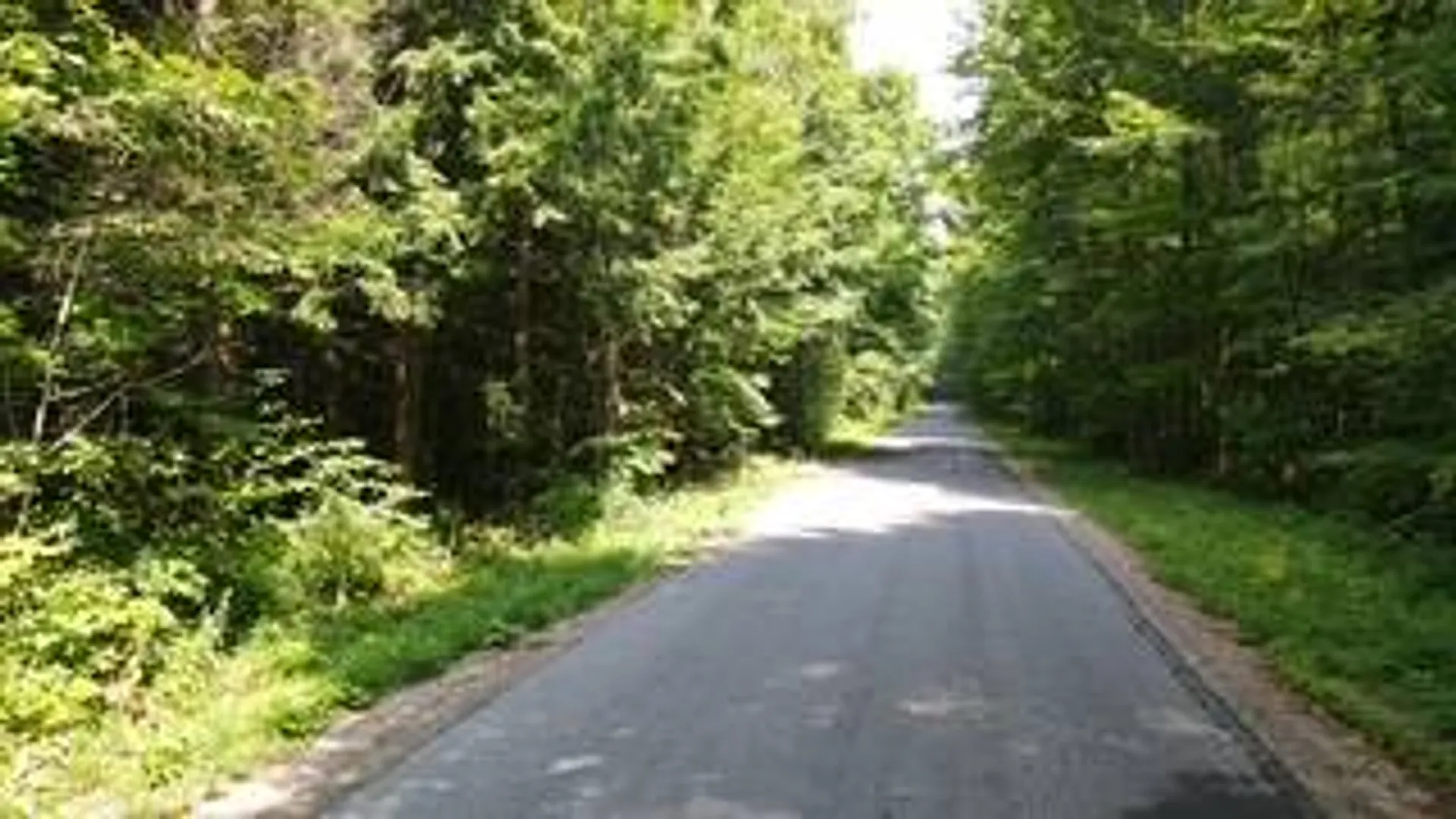 Property at 0 Garrison Rd, Pitcairn, NY 13648 12
