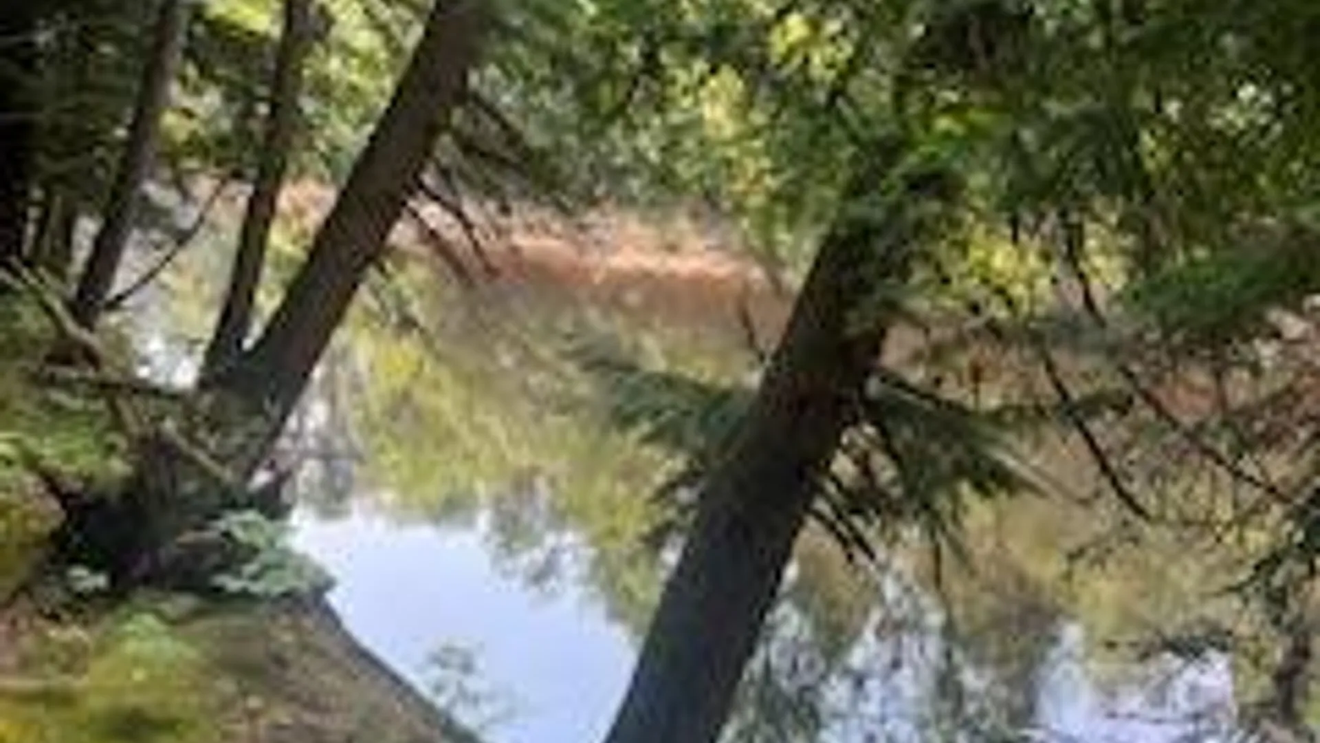 Property at 0 Garrison Rd, Pitcairn, NY 13648 2
