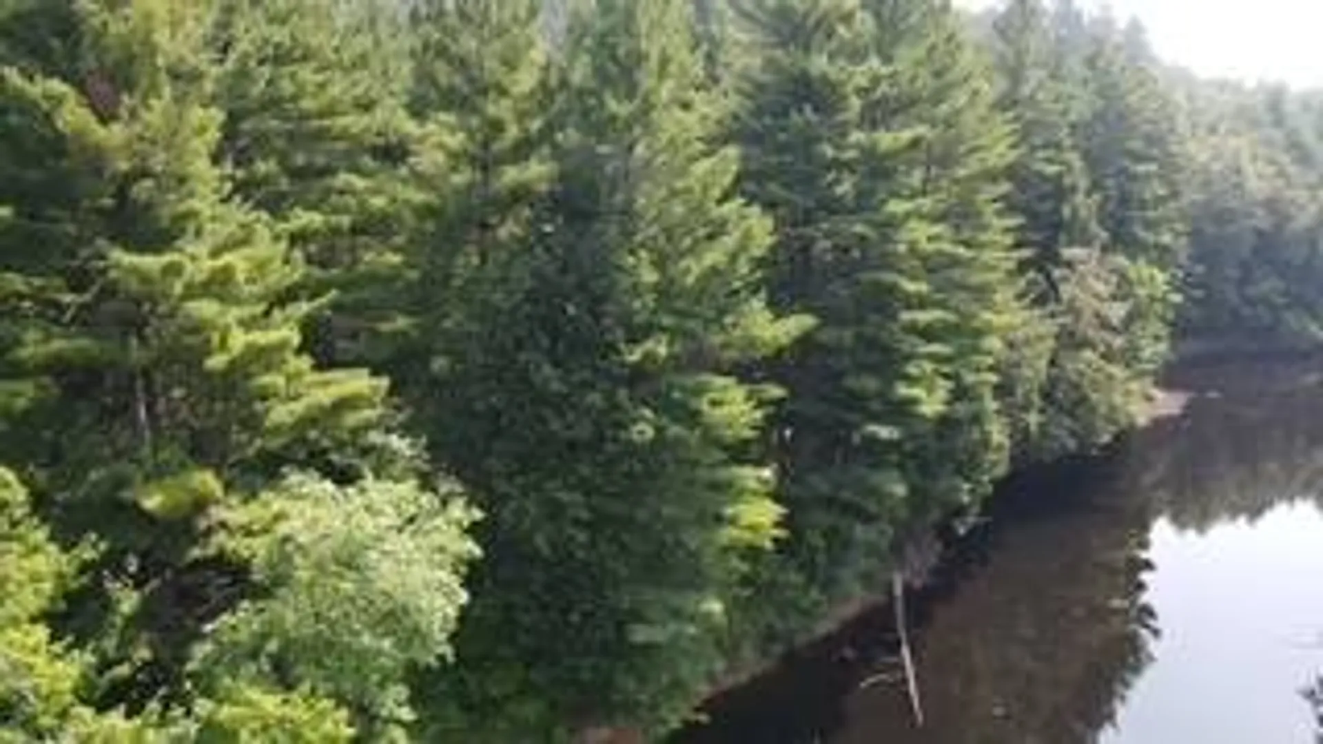 Property at 0 Garrison Rd, Pitcairn, NY 13648 4