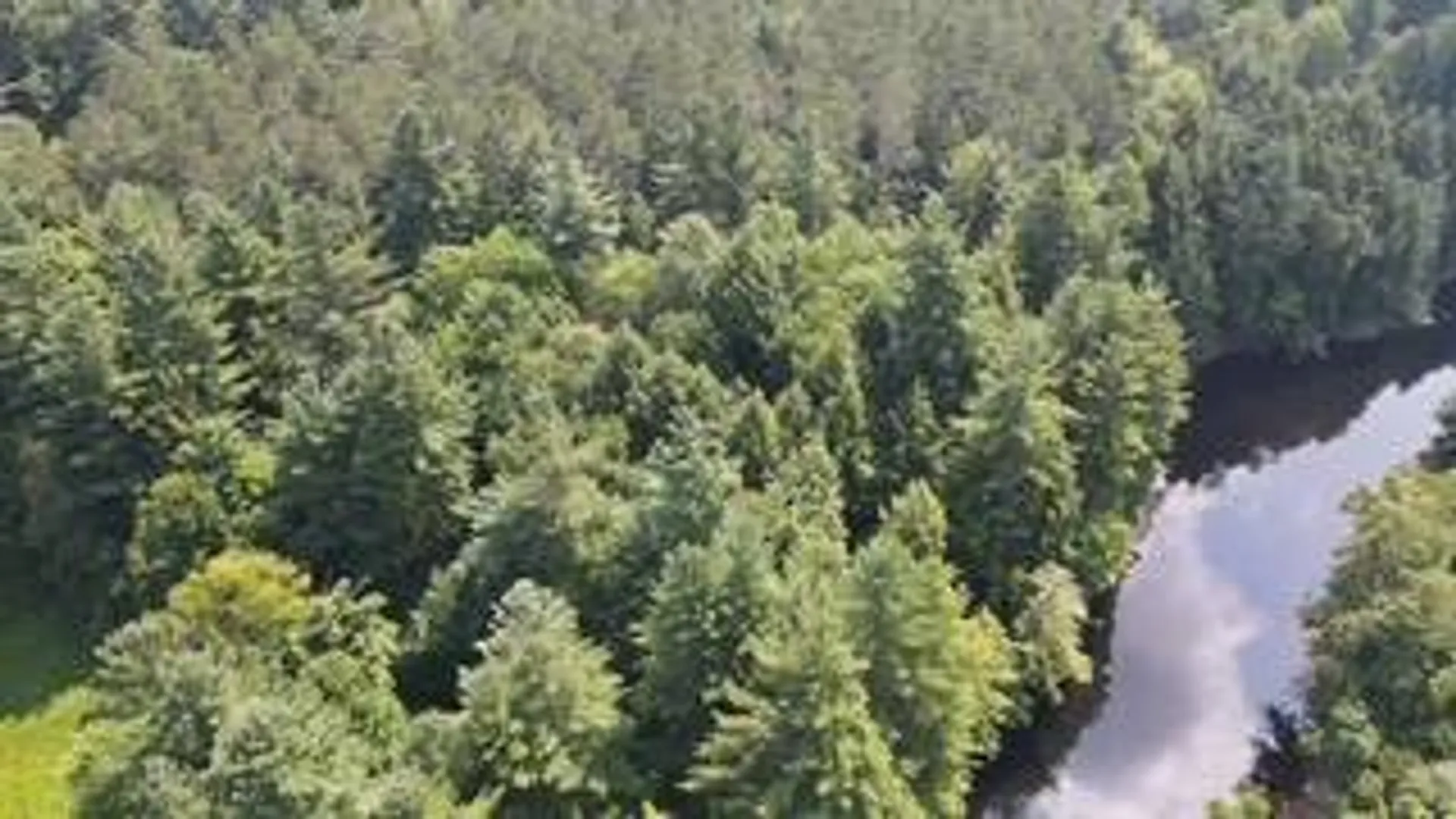 Property at 0 Garrison Rd, Pitcairn, NY 13648 5