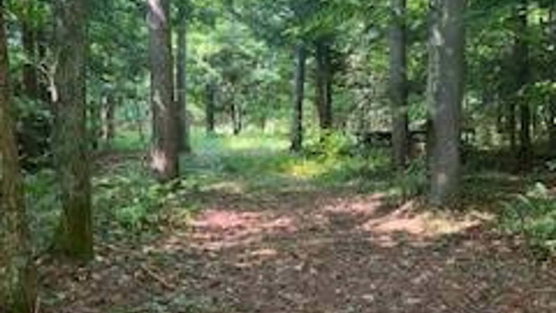 Property at 0 Garrison Rd, Pitcairn, NY 13648 6