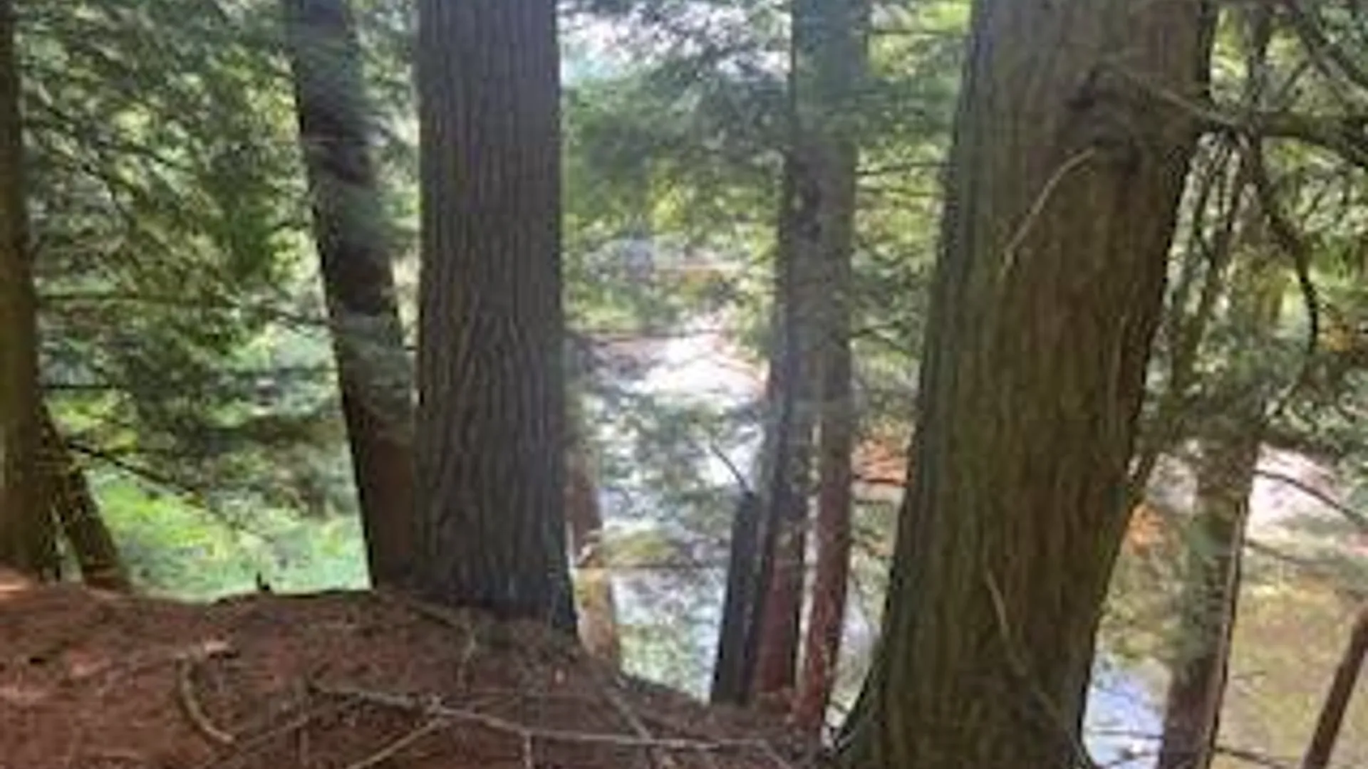 Property at 0 Garrison Rd, Pitcairn, NY 13648 8