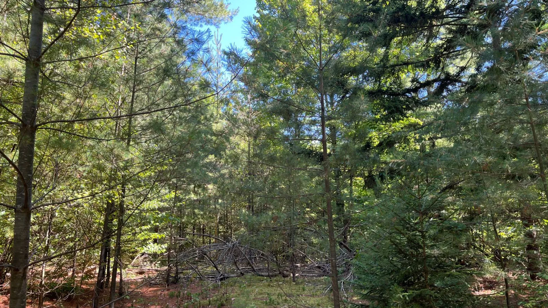 Property at 20 Pond Rd/prvt, Russell, NY 13684 10