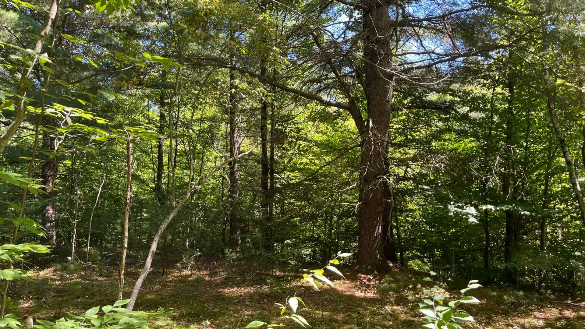 Property at 20 Pond Rd/prvt, Russell, NY 13684 11