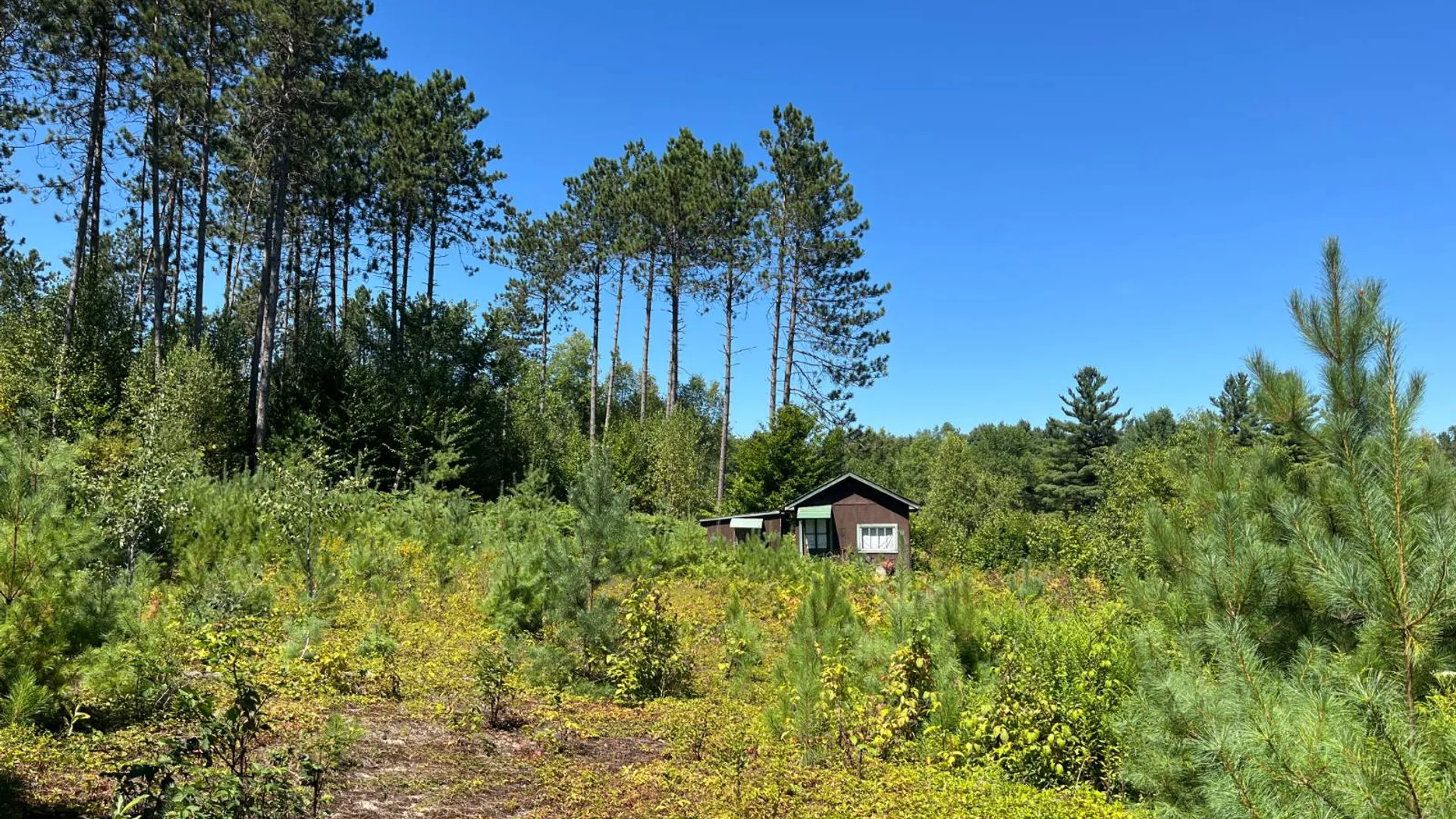 Property at 20 Pond Rd/prvt, Russell, NY 13684 12
