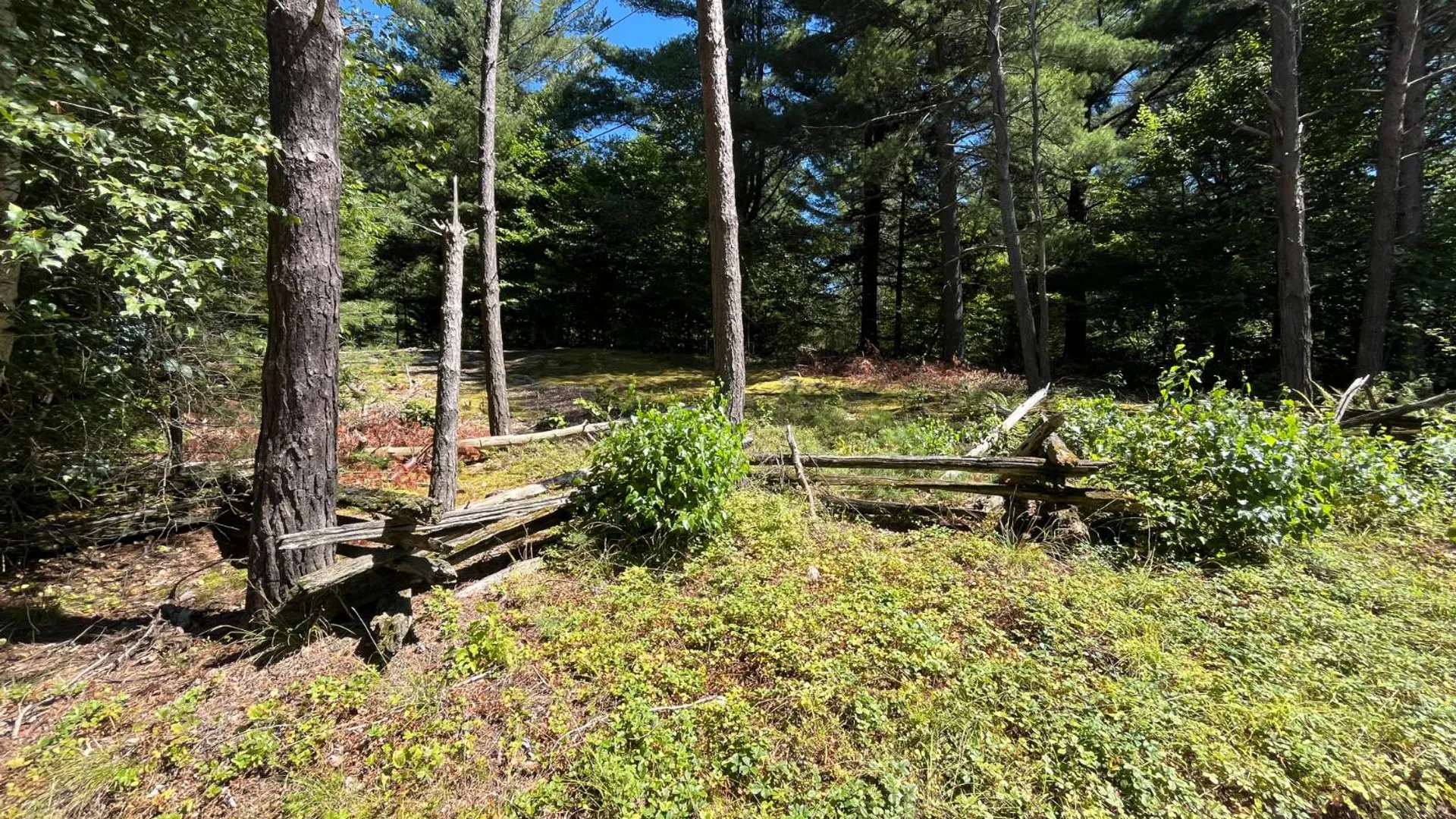 Property at 20 Pond Rd/prvt, Russell, NY 13684 20