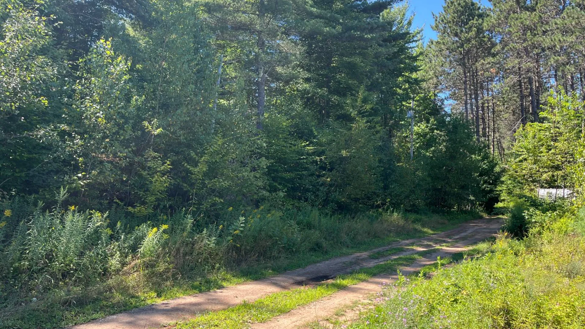 Property at 20 Pond Rd/prvt, Russell, NY 13684 22