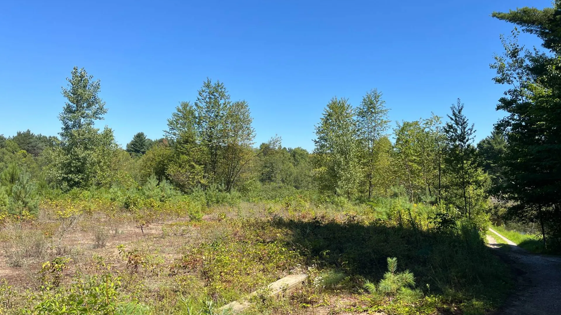 Property at 20 Pond Rd/prvt, Russell, NY 13684 27