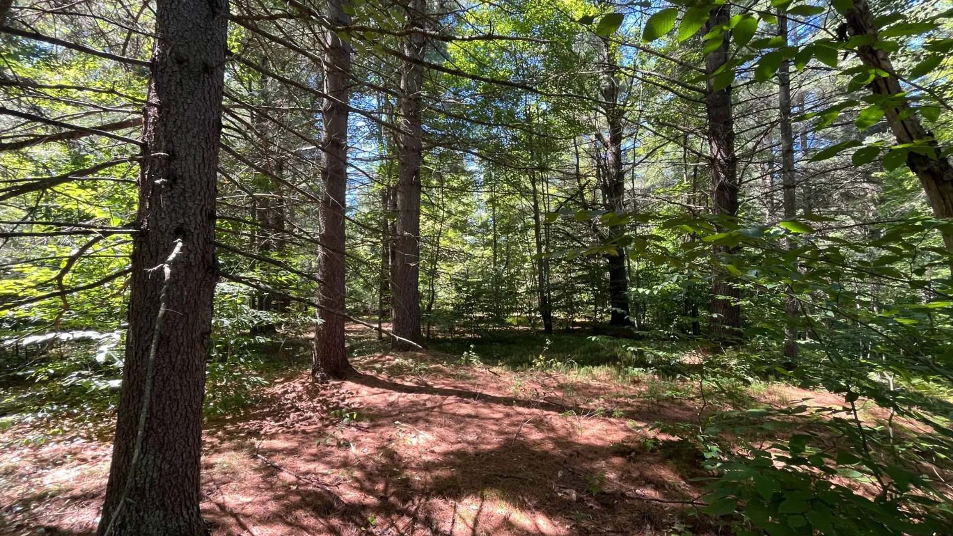 Property at 20 Pond Rd/prvt, Russell, NY 13684 7