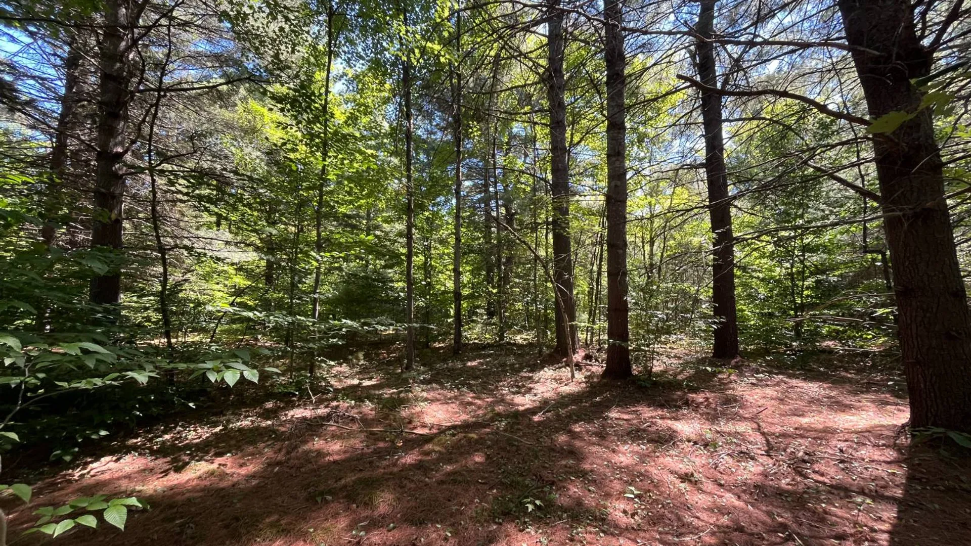 Property at 20 Pond Rd/prvt, Russell, NY 13684 8