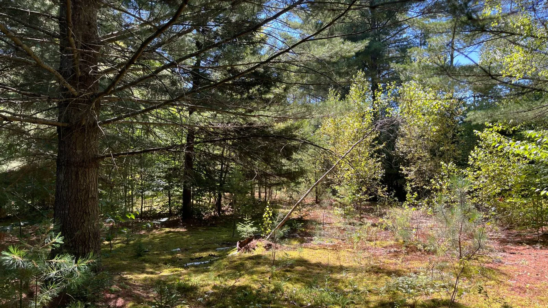 Property at 20 Pond Rd/prvt, Russell, NY 13684 9