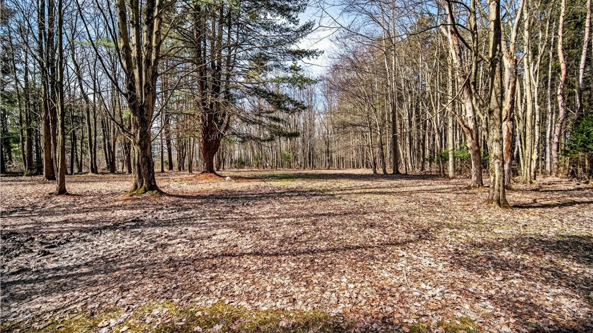 Property at 1309 Forest Avenue Extension, Busti, NY 14701 30