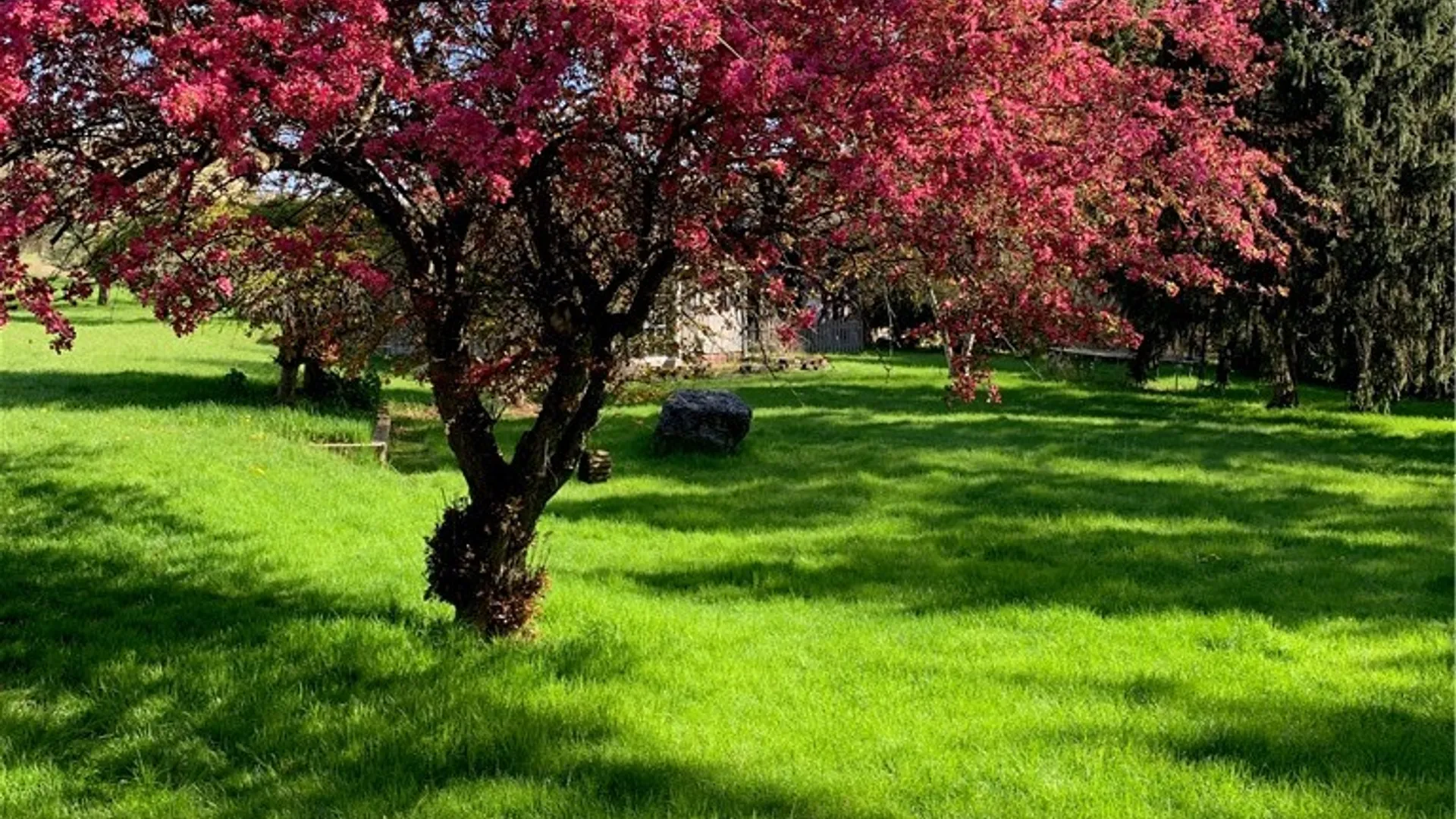 Property at 7834 North Road, Victor, NY 14564 41