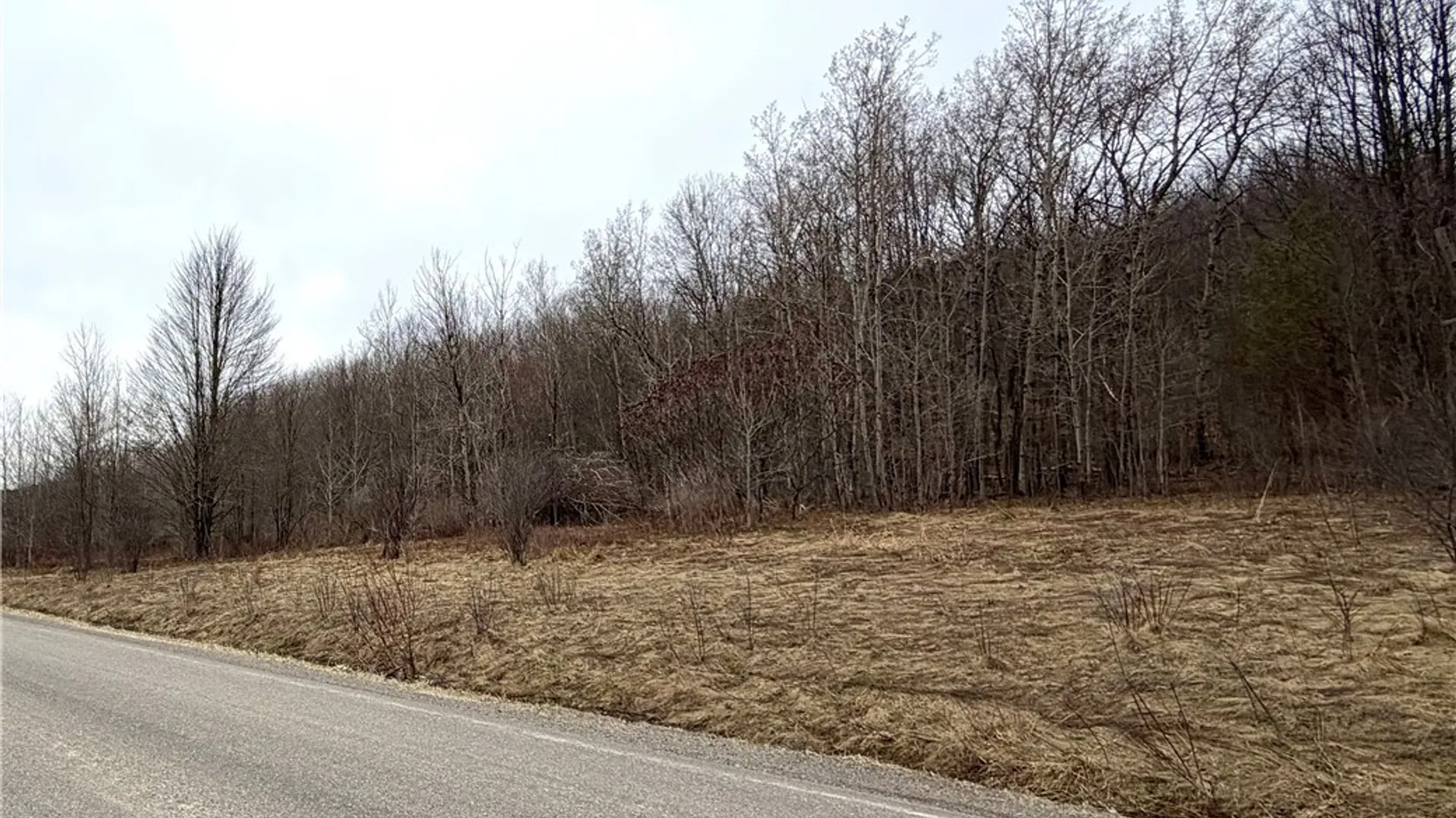 Property at 8528 Jackson Hill Road, Cuba, NY 14739 10