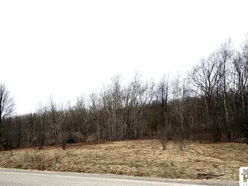 Property at 8528 Jackson Hill Road, Cuba, NY 14739