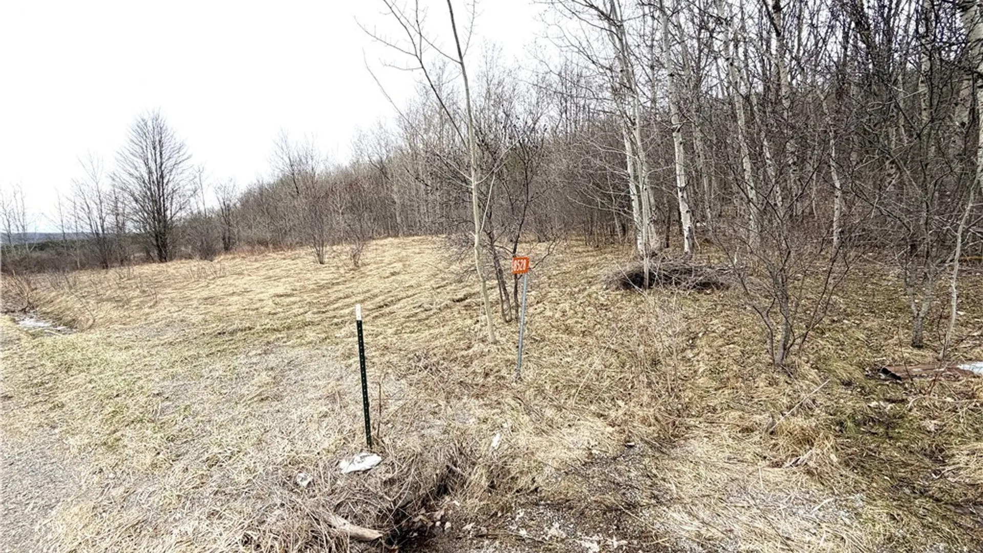 Property at 8528 Jackson Hill Road, Cuba, NY 14739 2