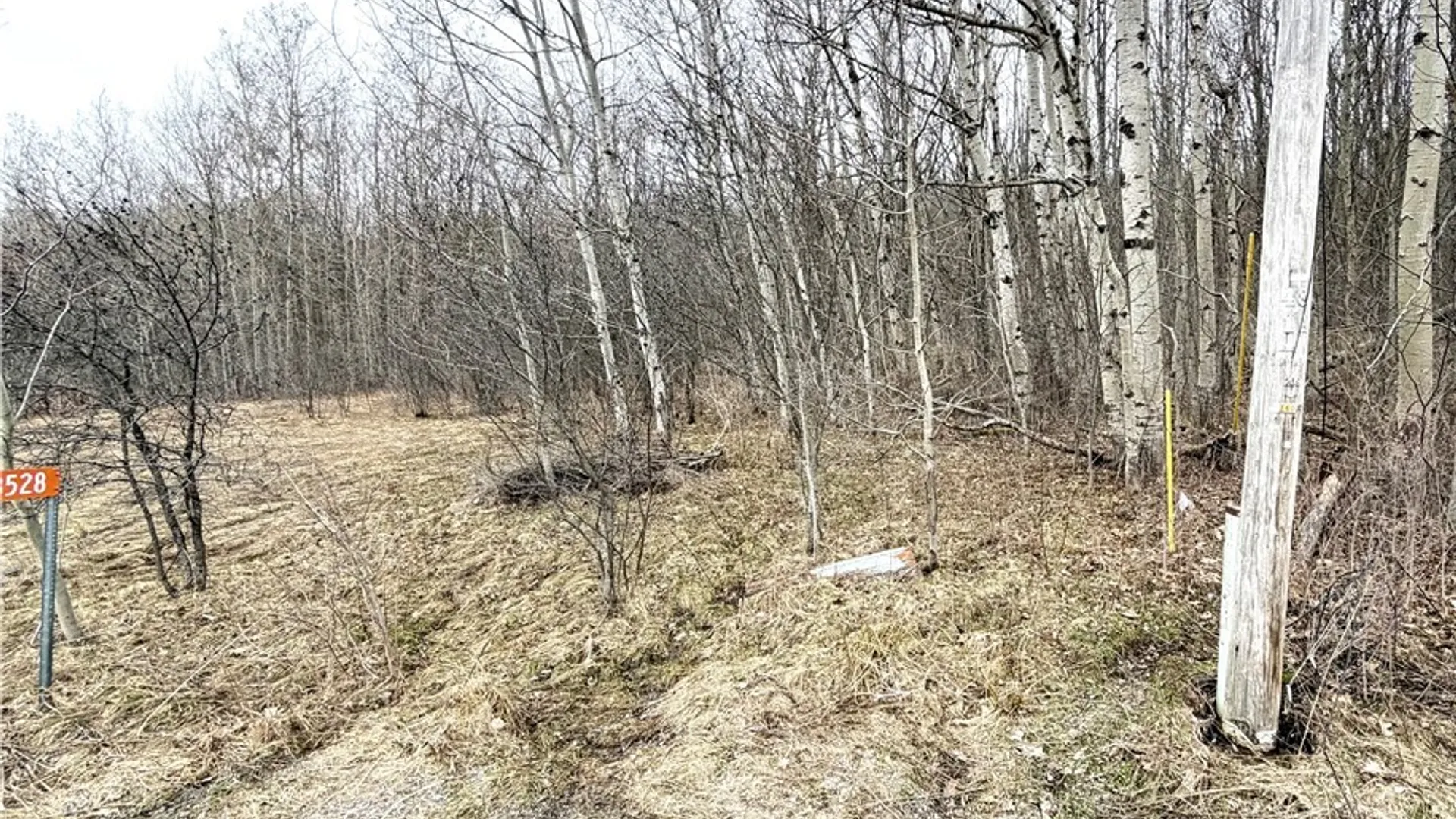 Property at 8528 Jackson Hill Road, Cuba, NY 14739 3