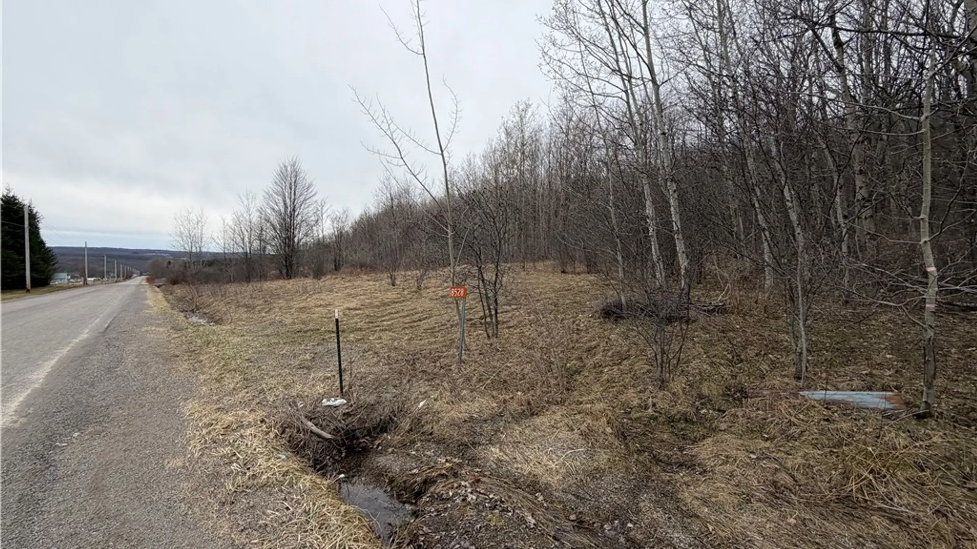 Property at 8528 Jackson Hill Road, Cuba, NY 14739 4