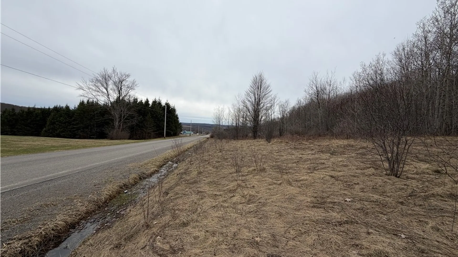 Property at 8528 Jackson Hill Road, Cuba, NY 14739 5