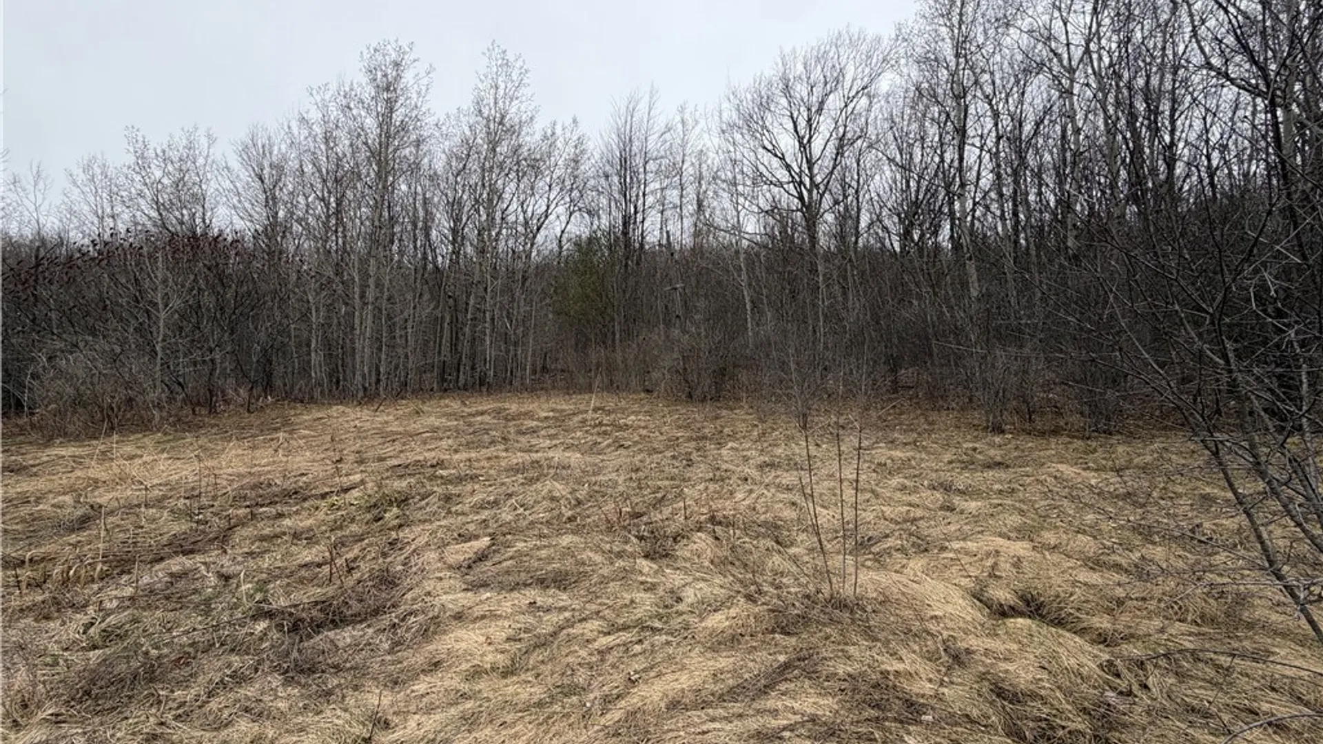 Property at 8528 Jackson Hill Road, Cuba, NY 14739 6