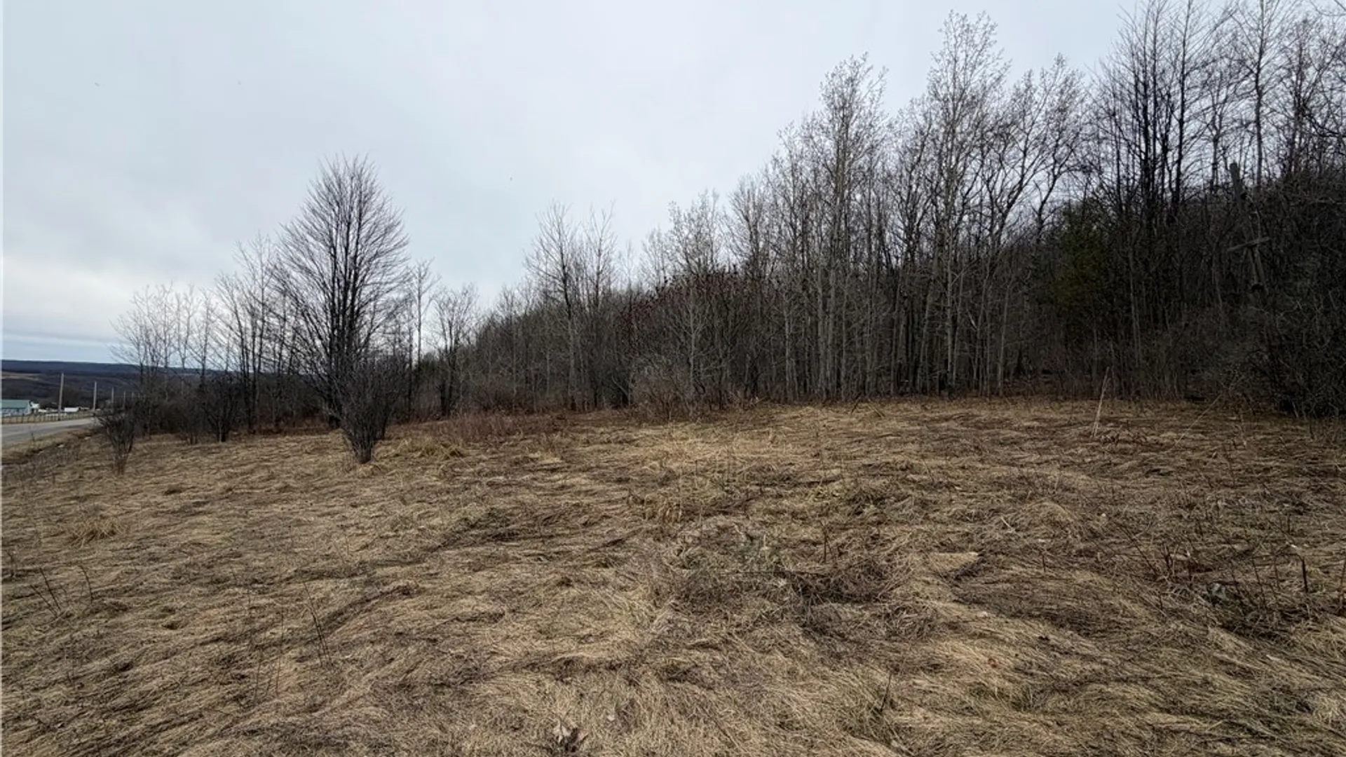 Property at 8528 Jackson Hill Road, Cuba, NY 14739 7