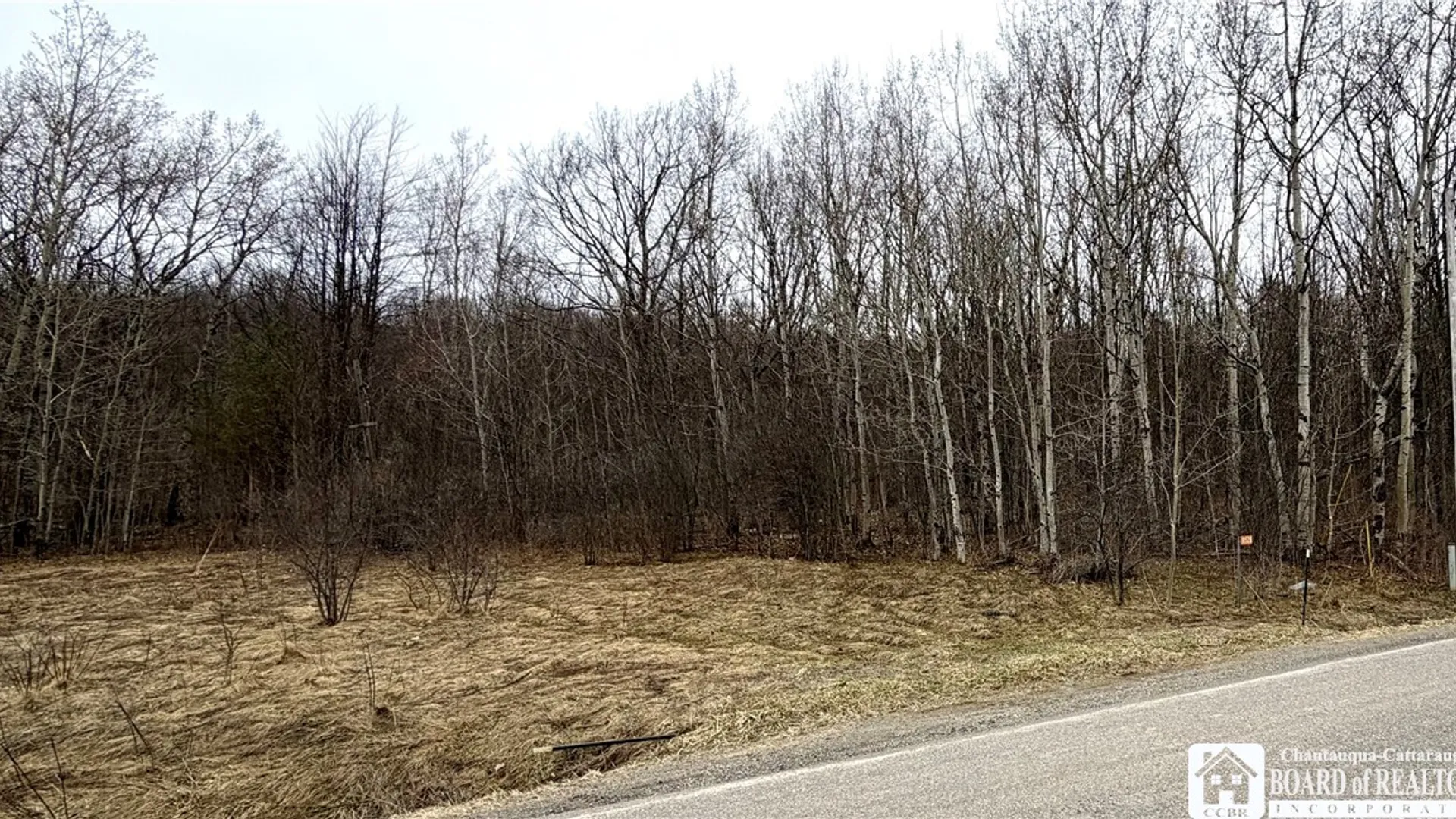 Property at 8528 Jackson Hill Road, Cuba, NY 14739 9