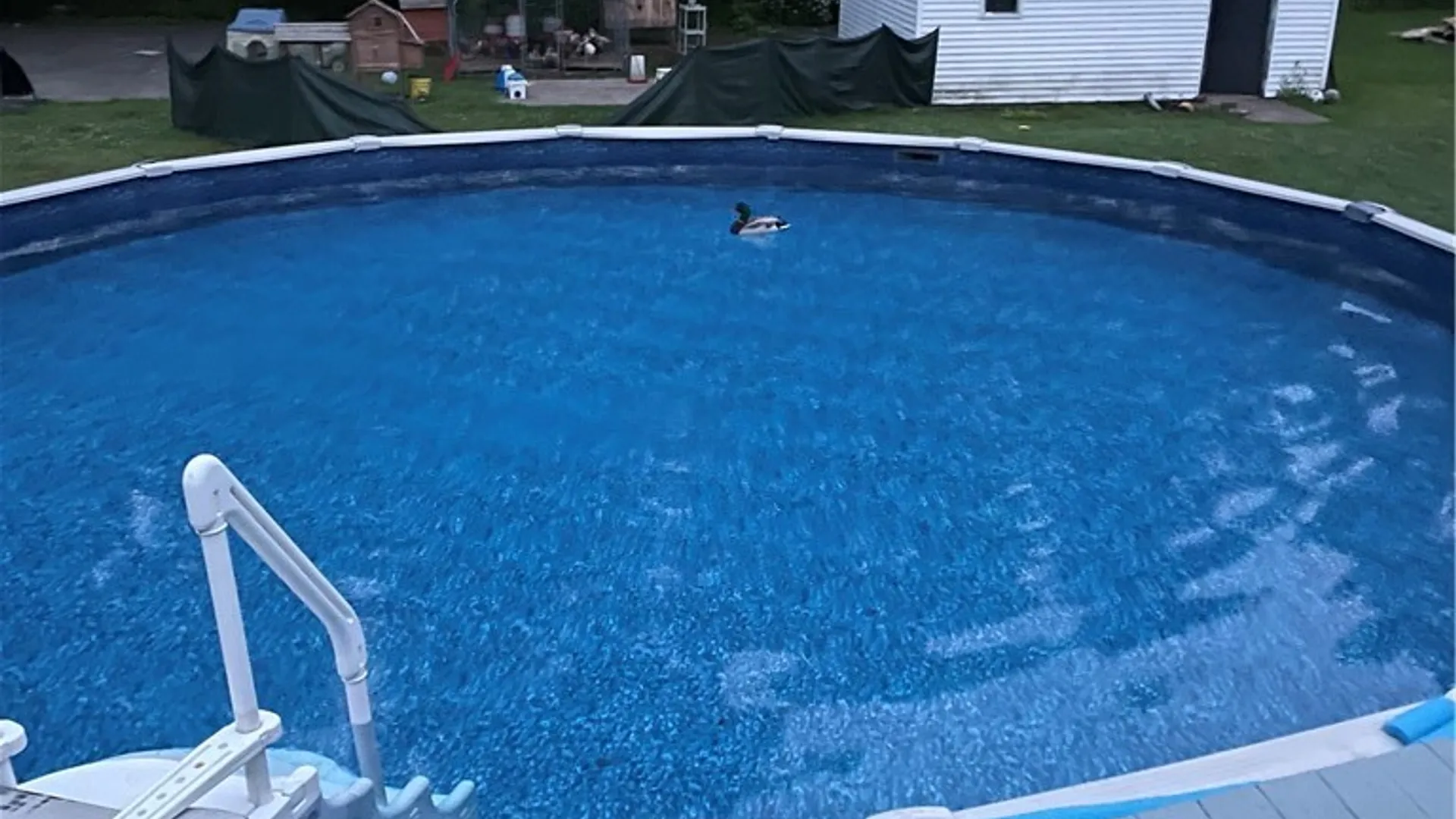 Property at 23 Phillips Street, Lysander, NY 13027 28