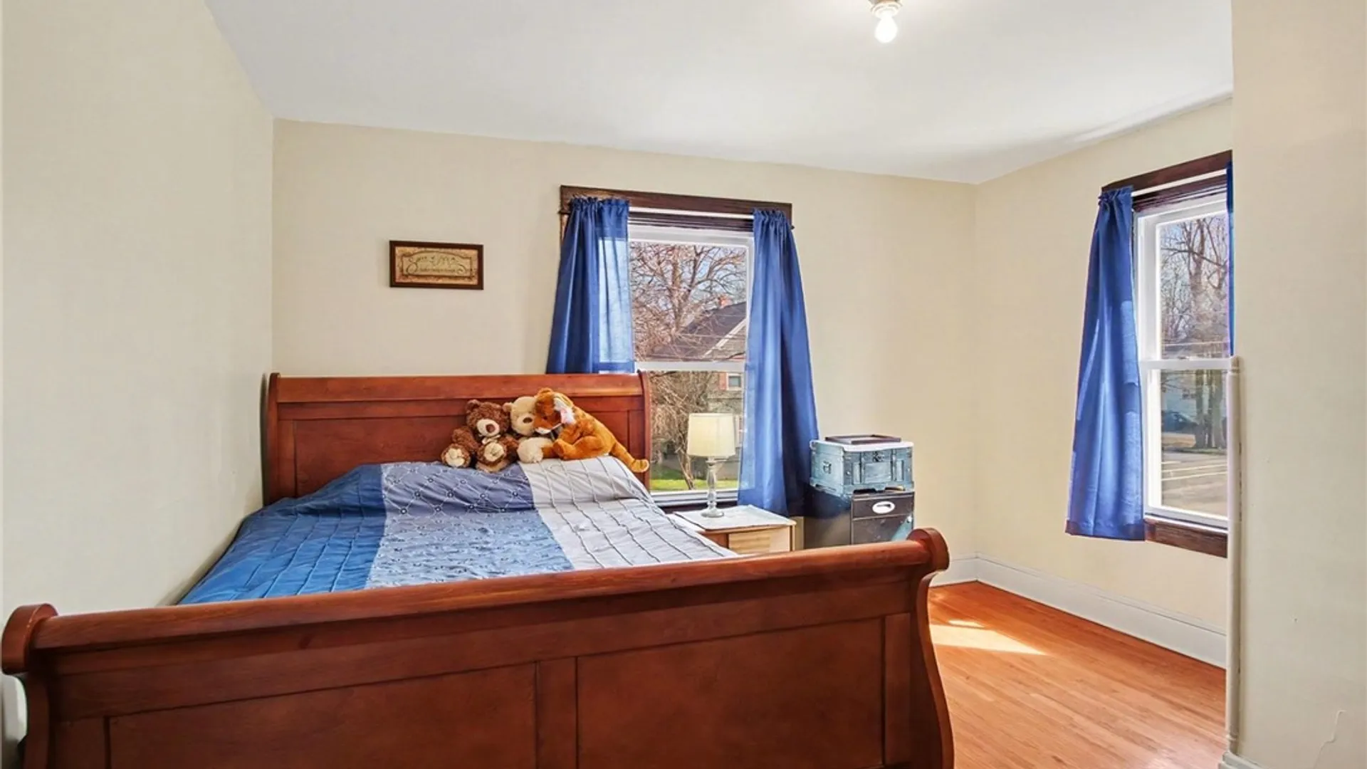 Property at 217 Grace Avenue, Arcadia, NY 14513 25