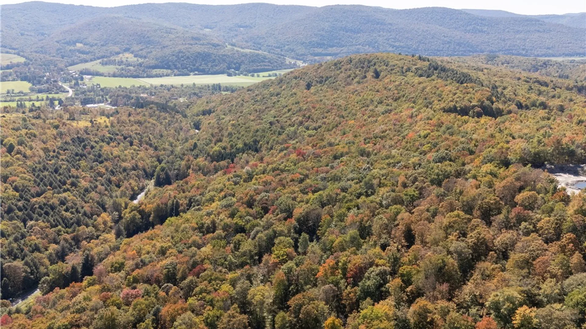 Property at 815 Covert Hollow Road, Hamden, NY 13782 33