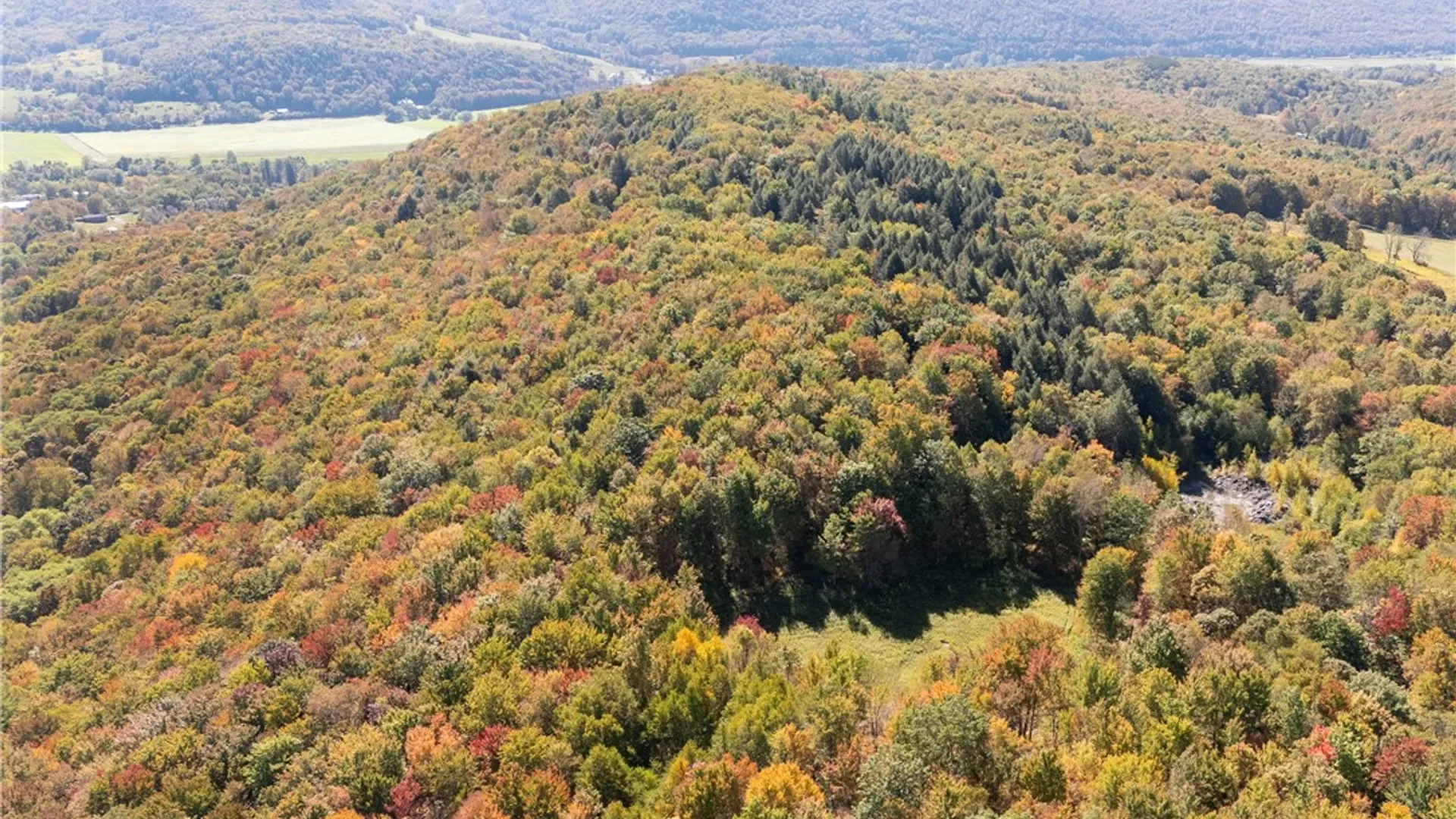 Property at 815 Covert Hollow Road, Hamden, NY 13782 35