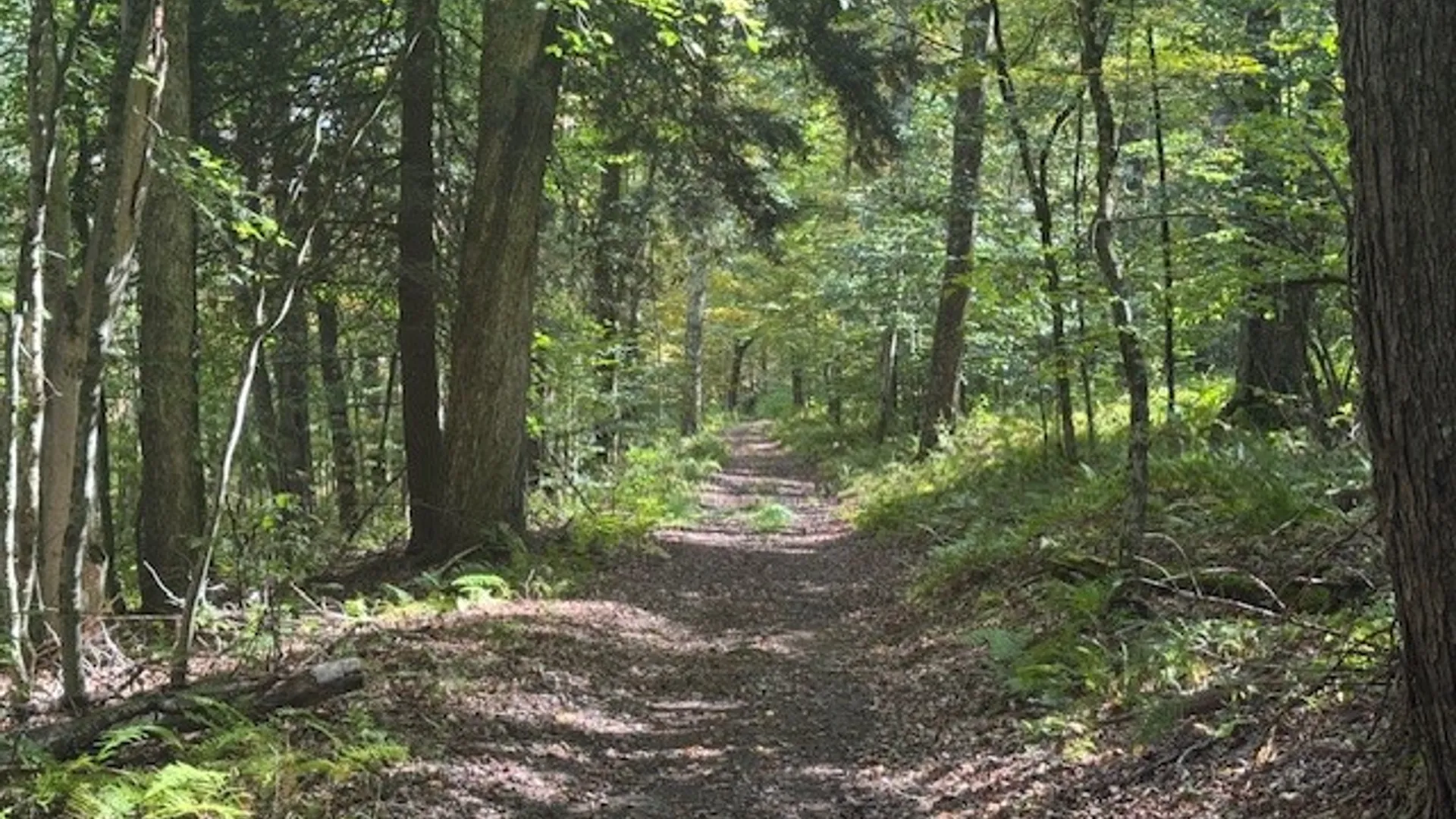 Property at 815 Covert Hollow Road, Hamden, NY 13782 37