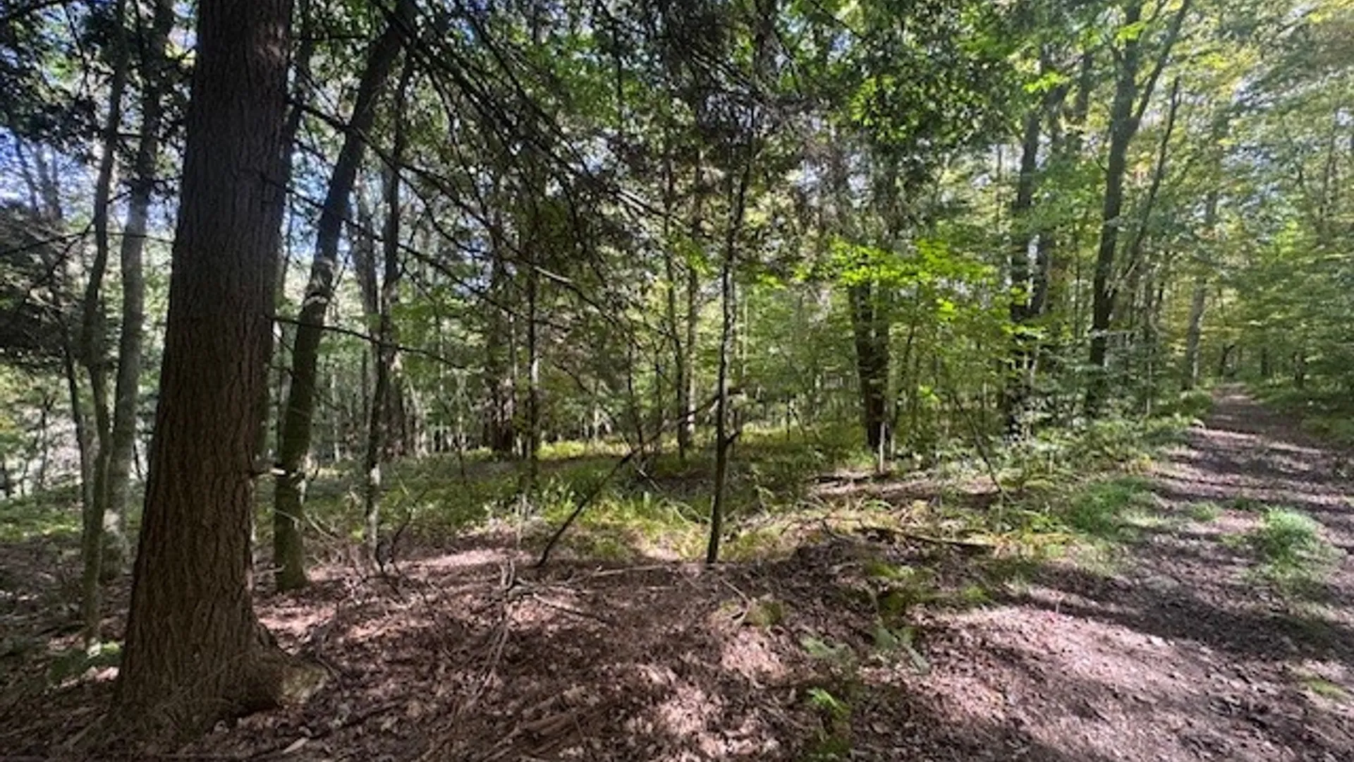 Property at 815 Covert Hollow Road, Hamden, NY 13782 39