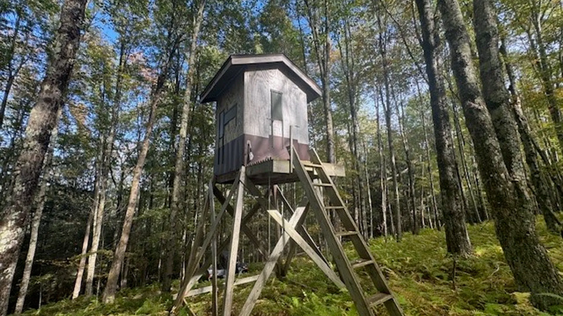 Property at 815 Covert Hollow Road, Hamden, NY 13782 40