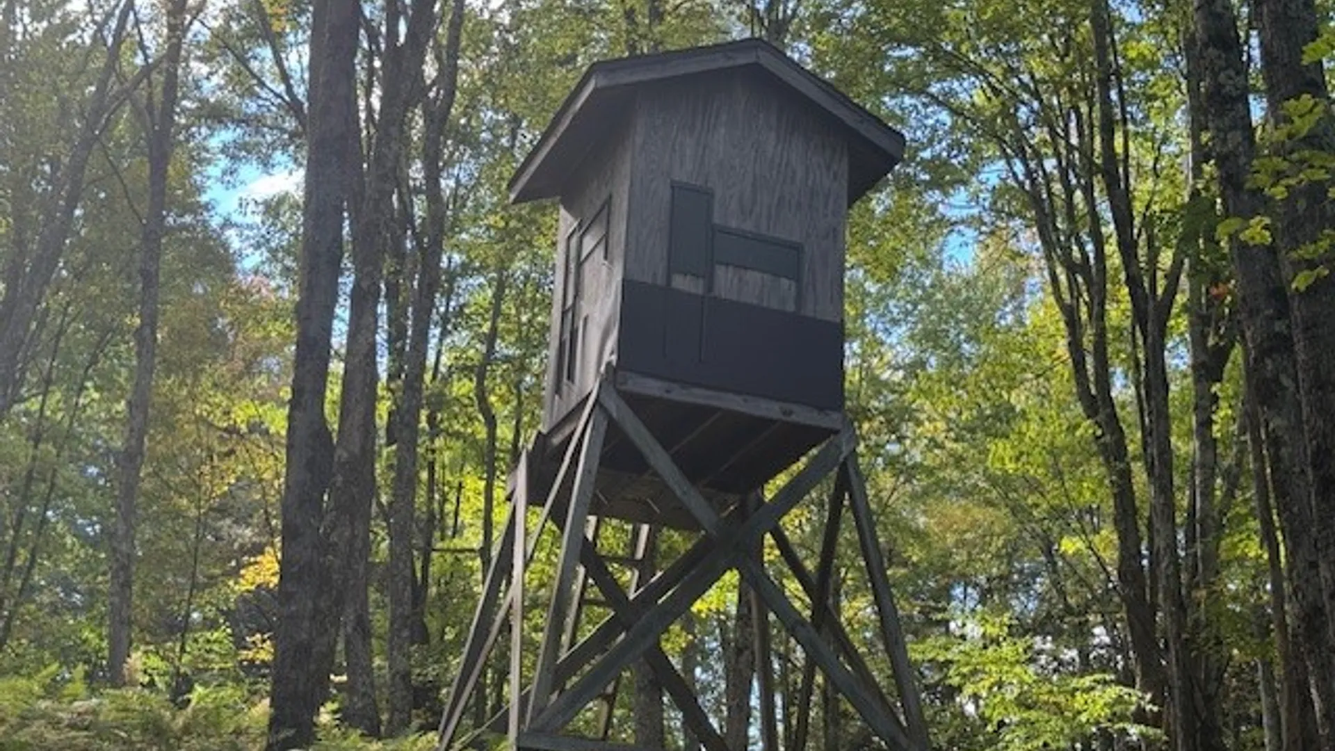 Property at 815 Covert Hollow Road, Hamden, NY 13782 41