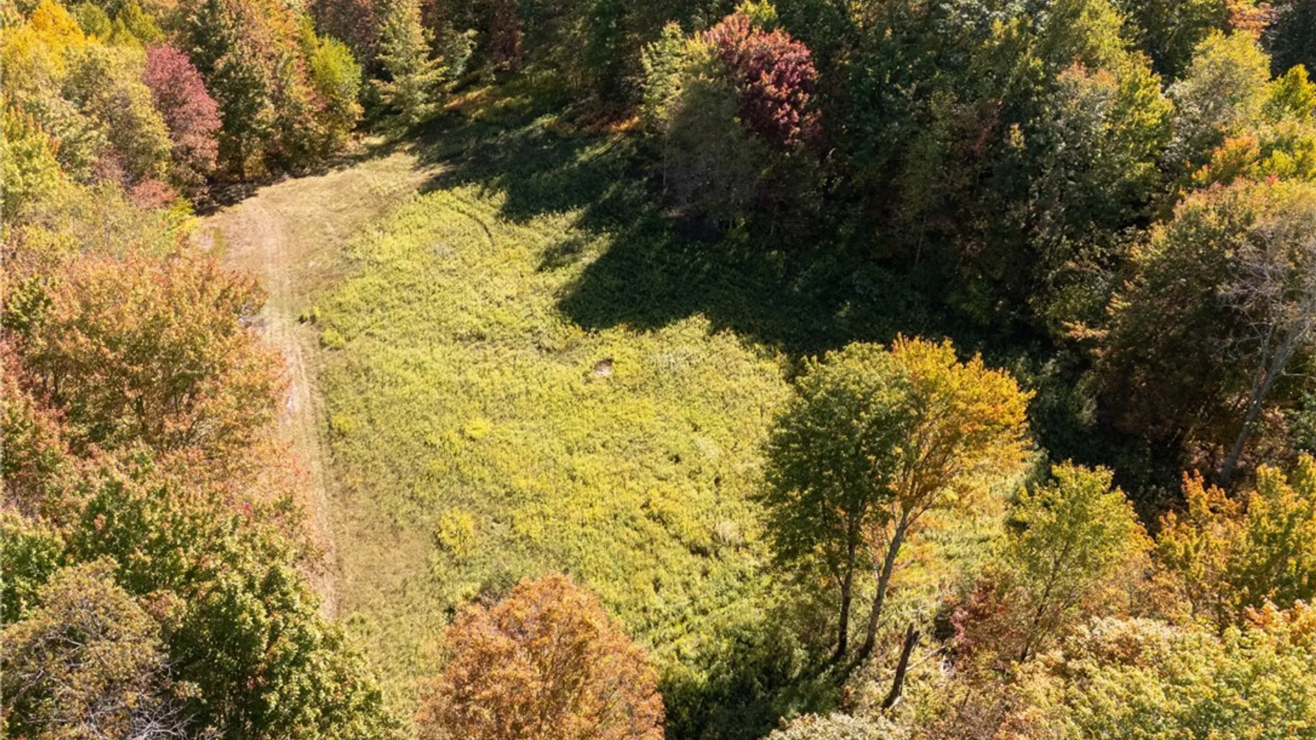 Property at 815 Covert Hollow Road, Hamden, NY 13782 43