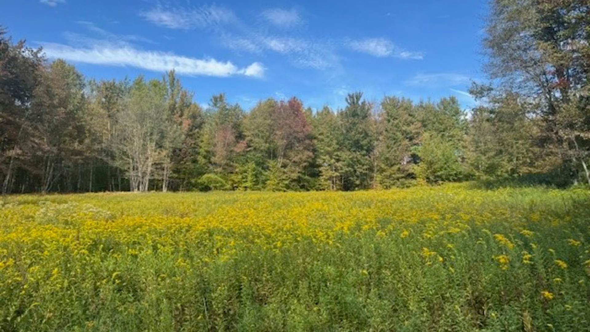 Property at 815 Covert Hollow Road, Hamden, NY 13782 44