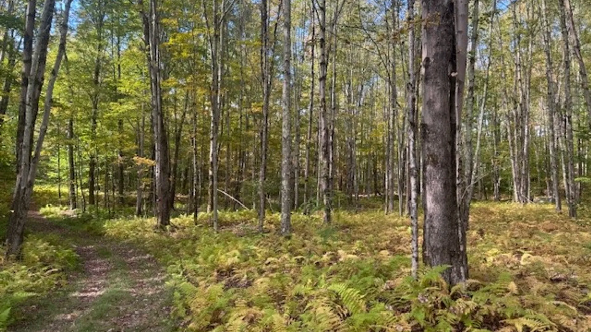 Property at 815 Covert Hollow Road, Hamden, NY 13782 45