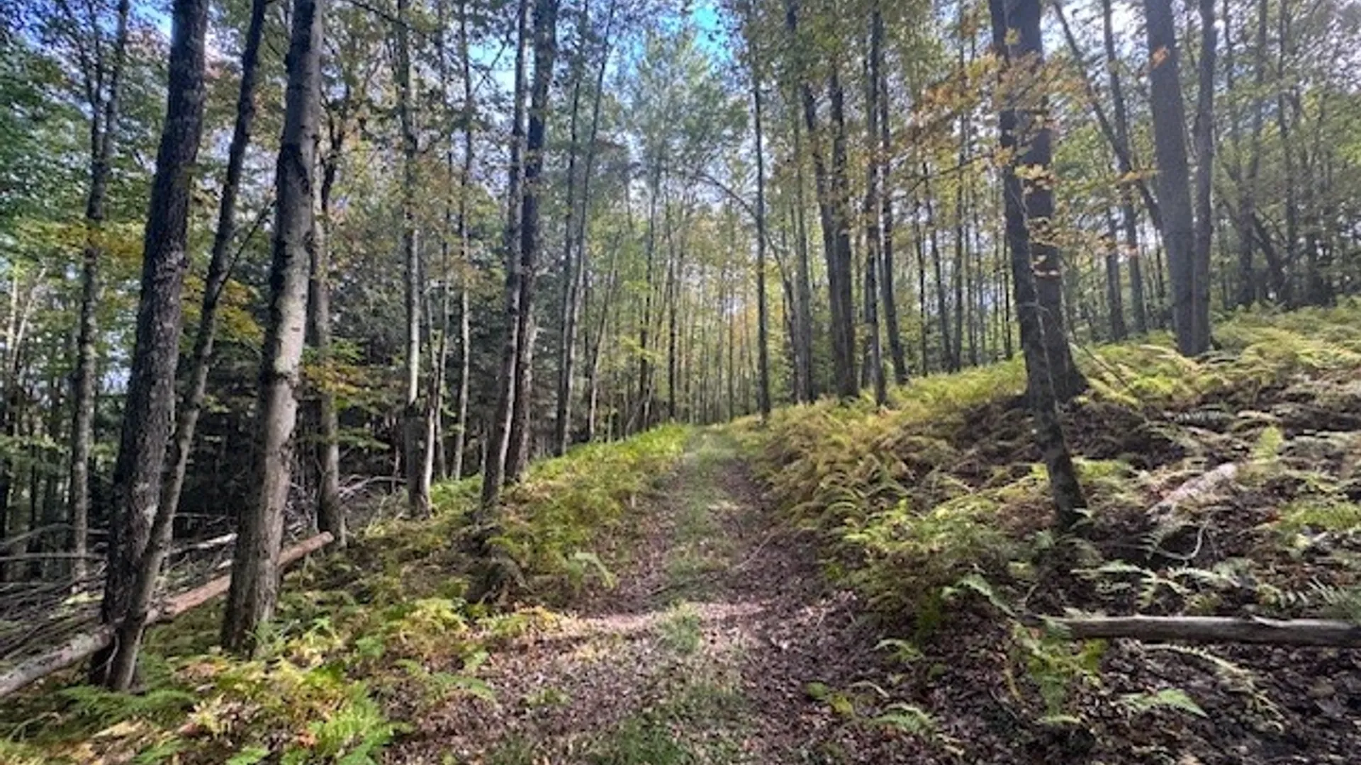 Property at 815 Covert Hollow Road, Hamden, NY 13782 47