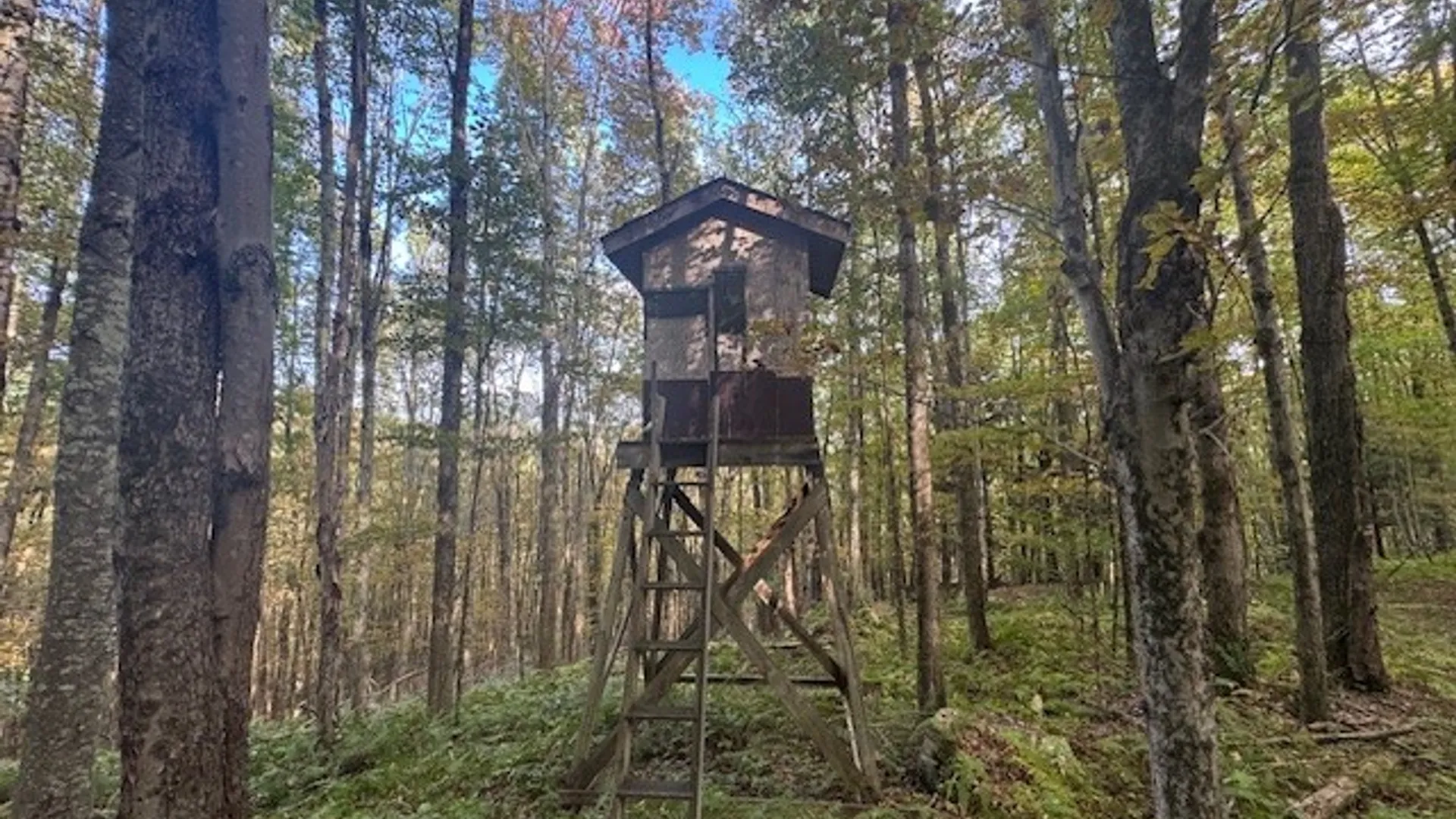 Property at 815 Covert Hollow Road, Hamden, NY 13782 48