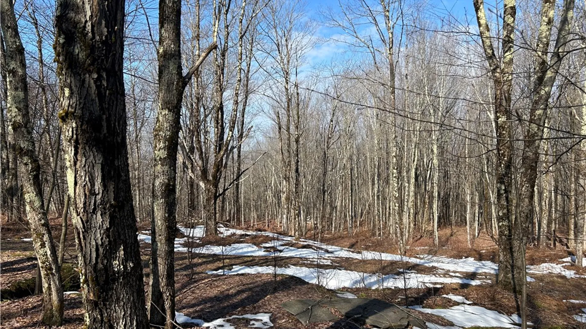 Property at Huska Road, Delhi, NY 13753 10