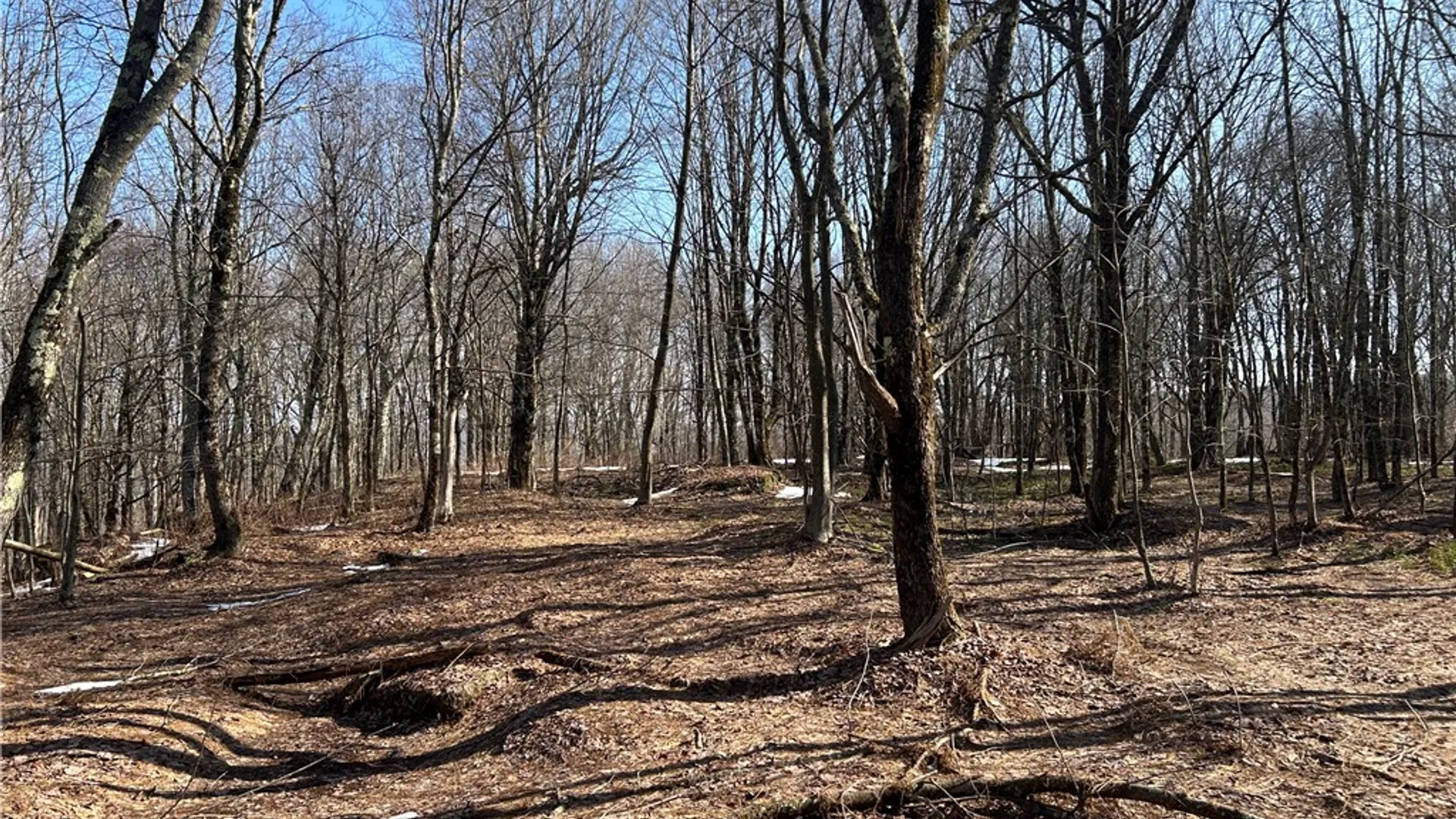 Property at Huska Road, Delhi, NY 13753 11