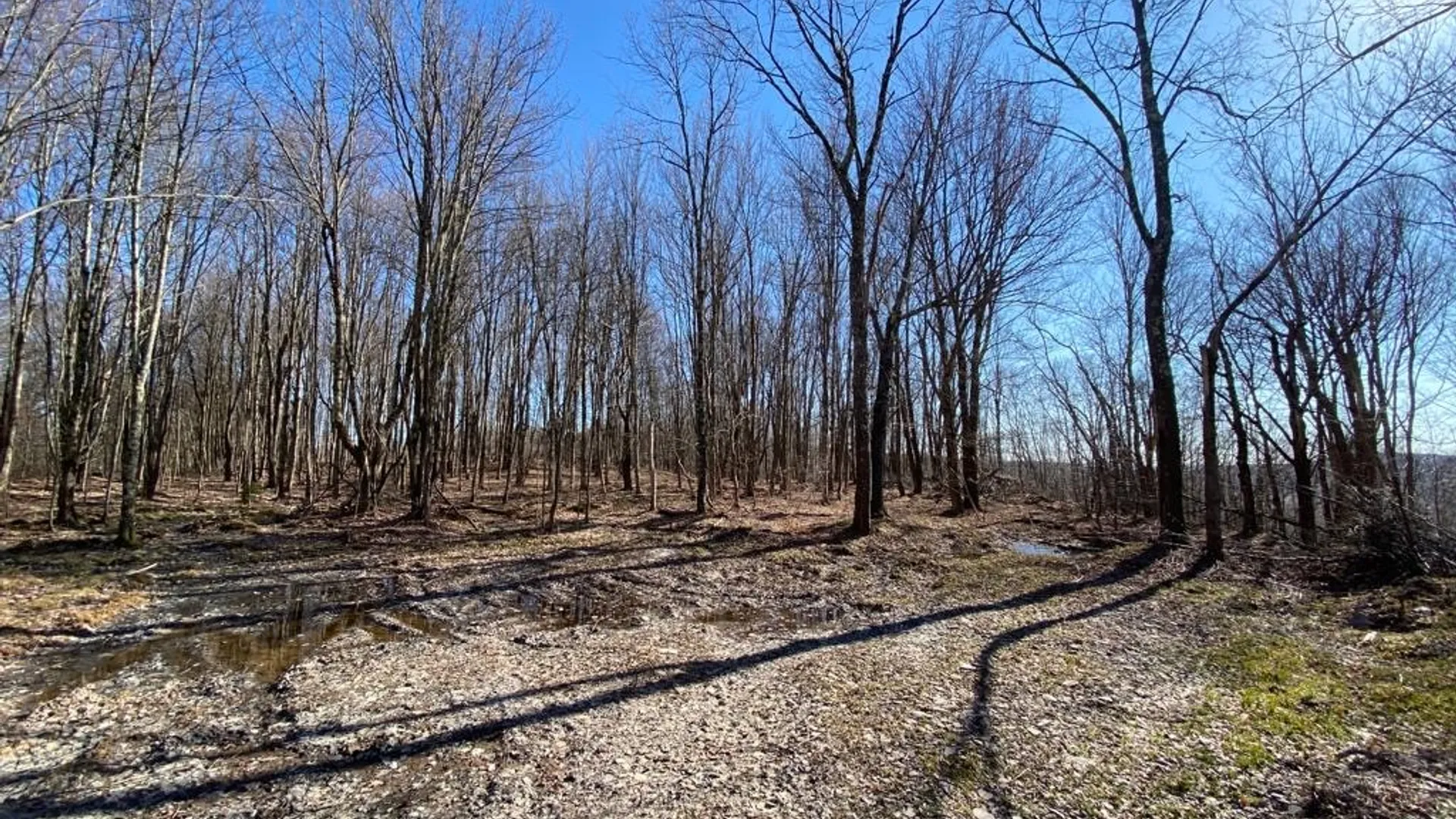 Property at Huska Road, Delhi, NY 13753 12