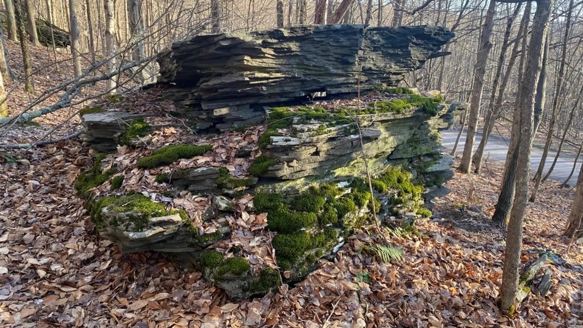 Property at Huska Road, Delhi, NY 13753 13