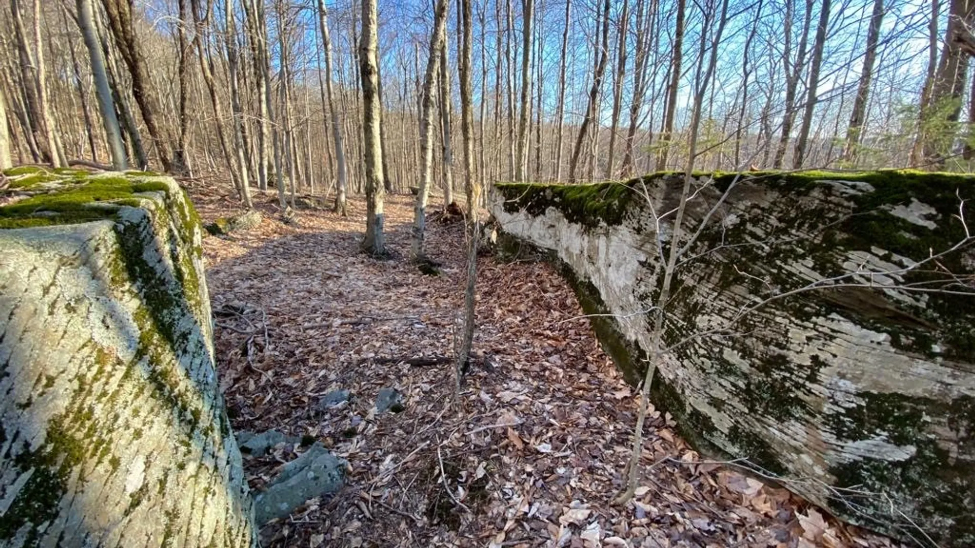 Property at Huska Road, Delhi, NY 13753 14