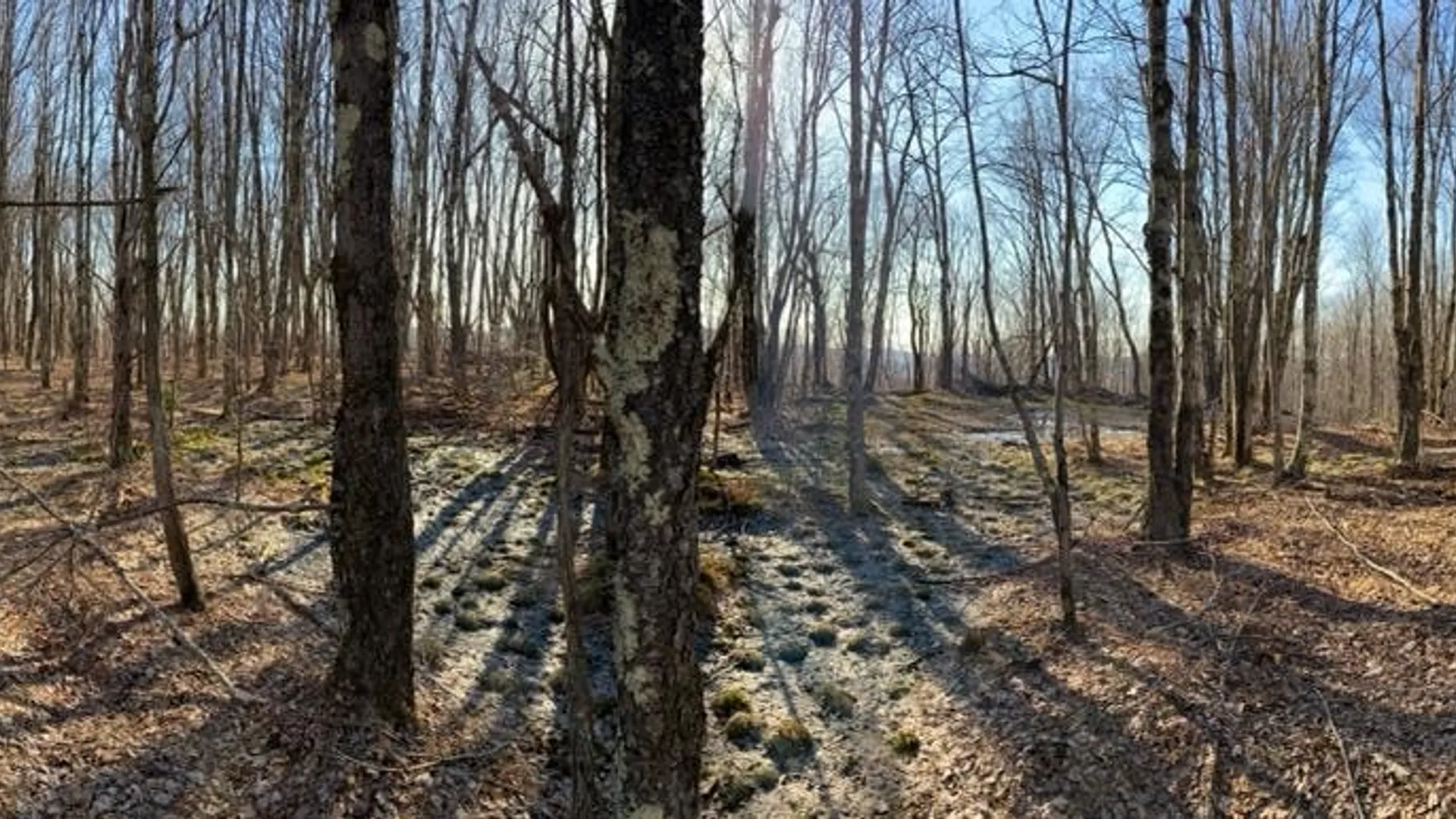 Property at Huska Road, Delhi, NY 13753 15