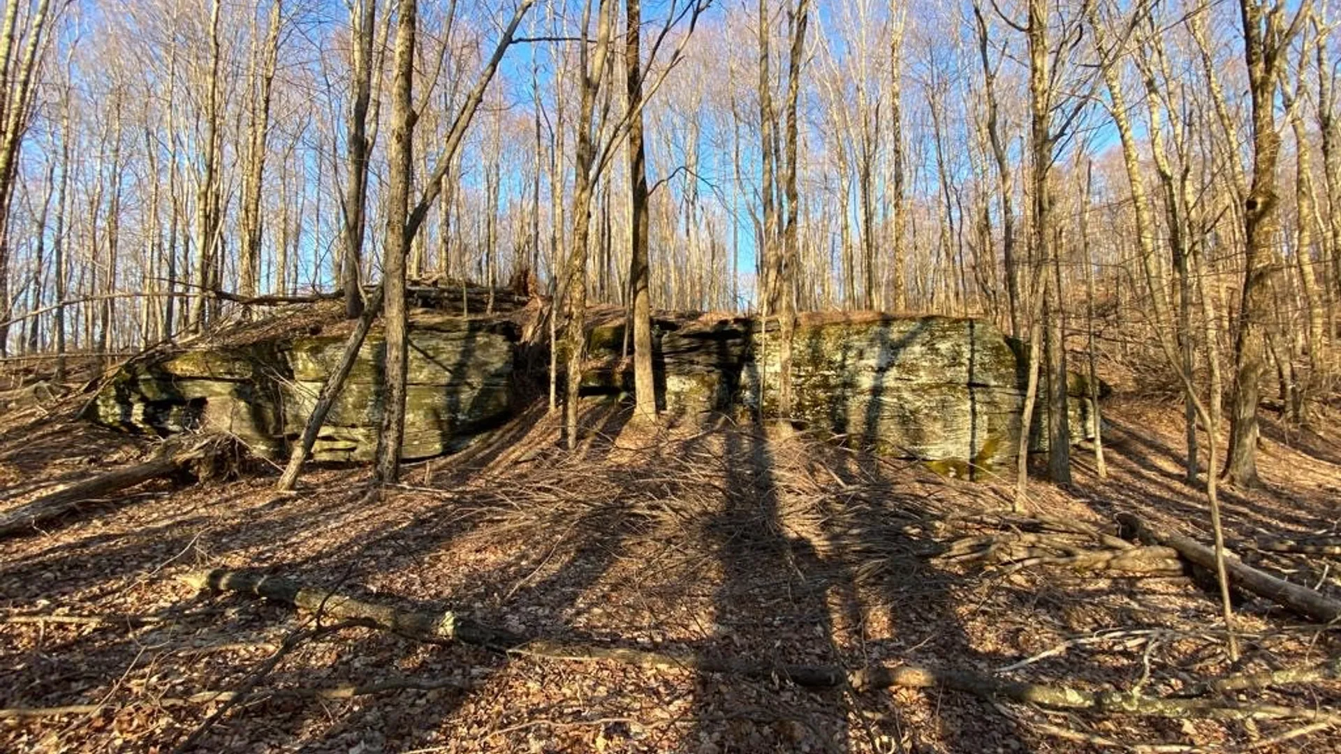 Property at Huska Road, Delhi, NY 13753 16